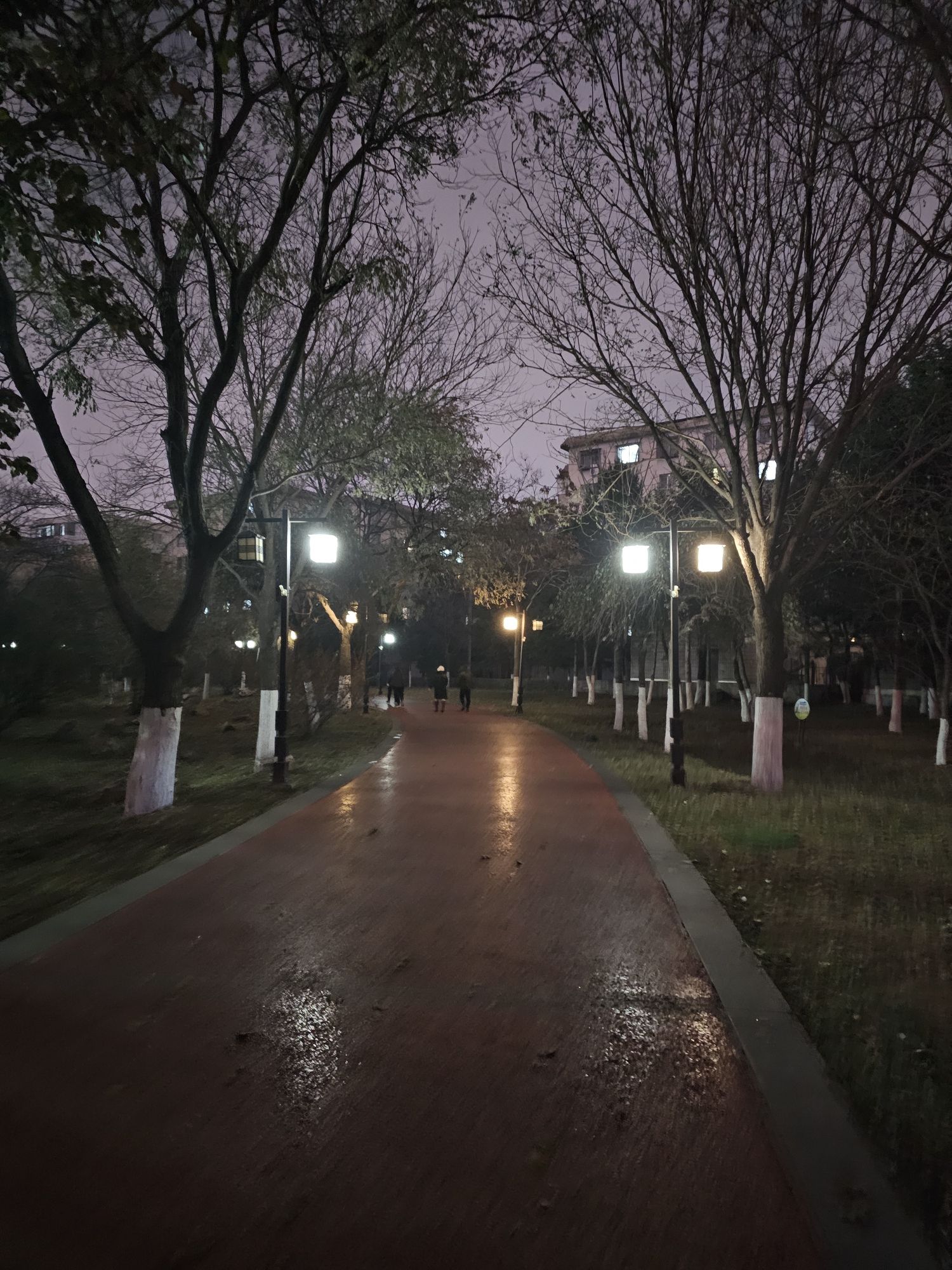 南塔公园旅行图片 3