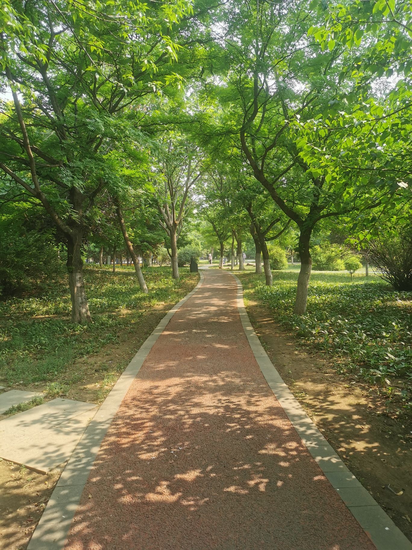 南塔公园旅行图片 2