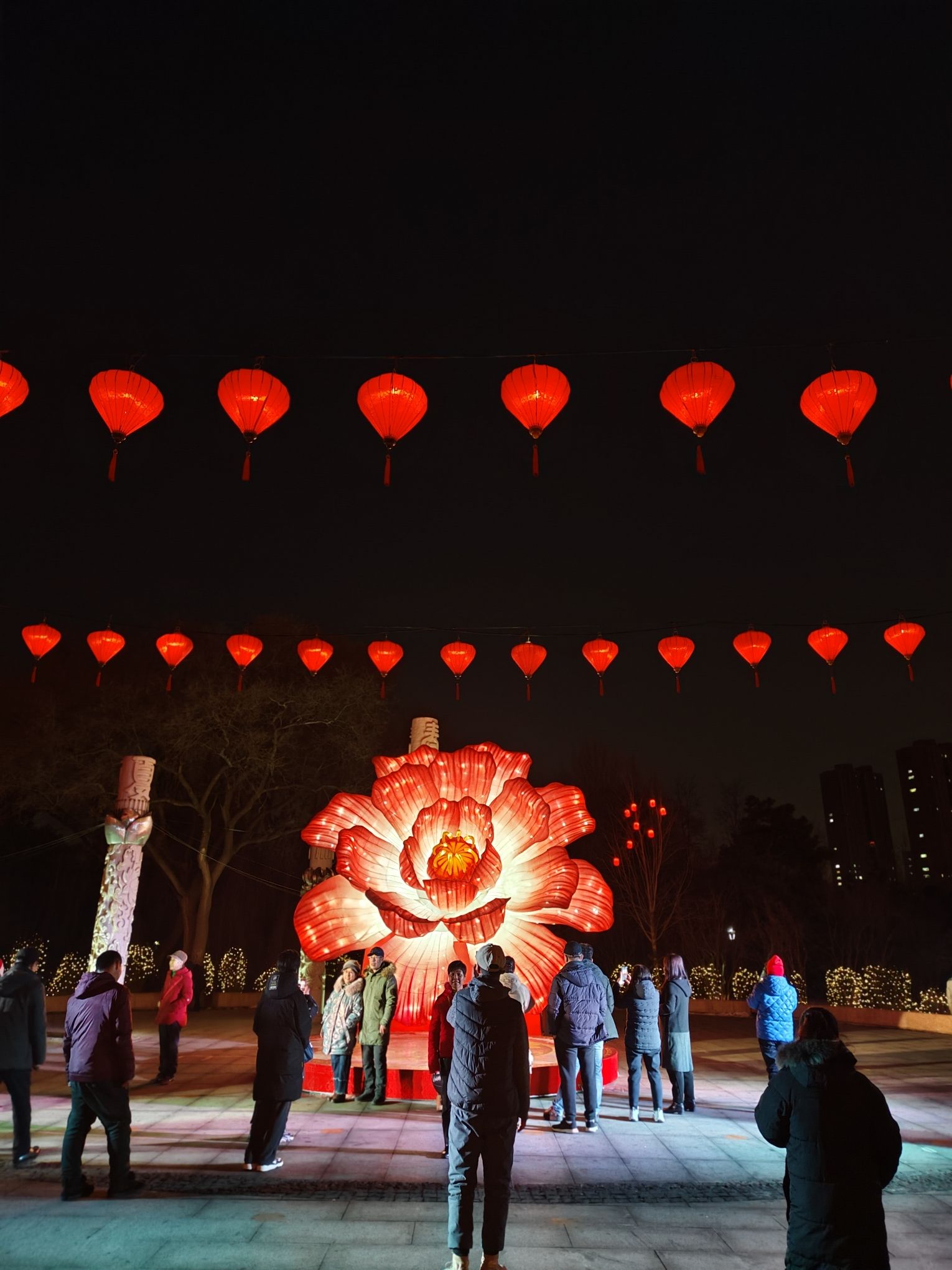 万泉公园旅行图片 3