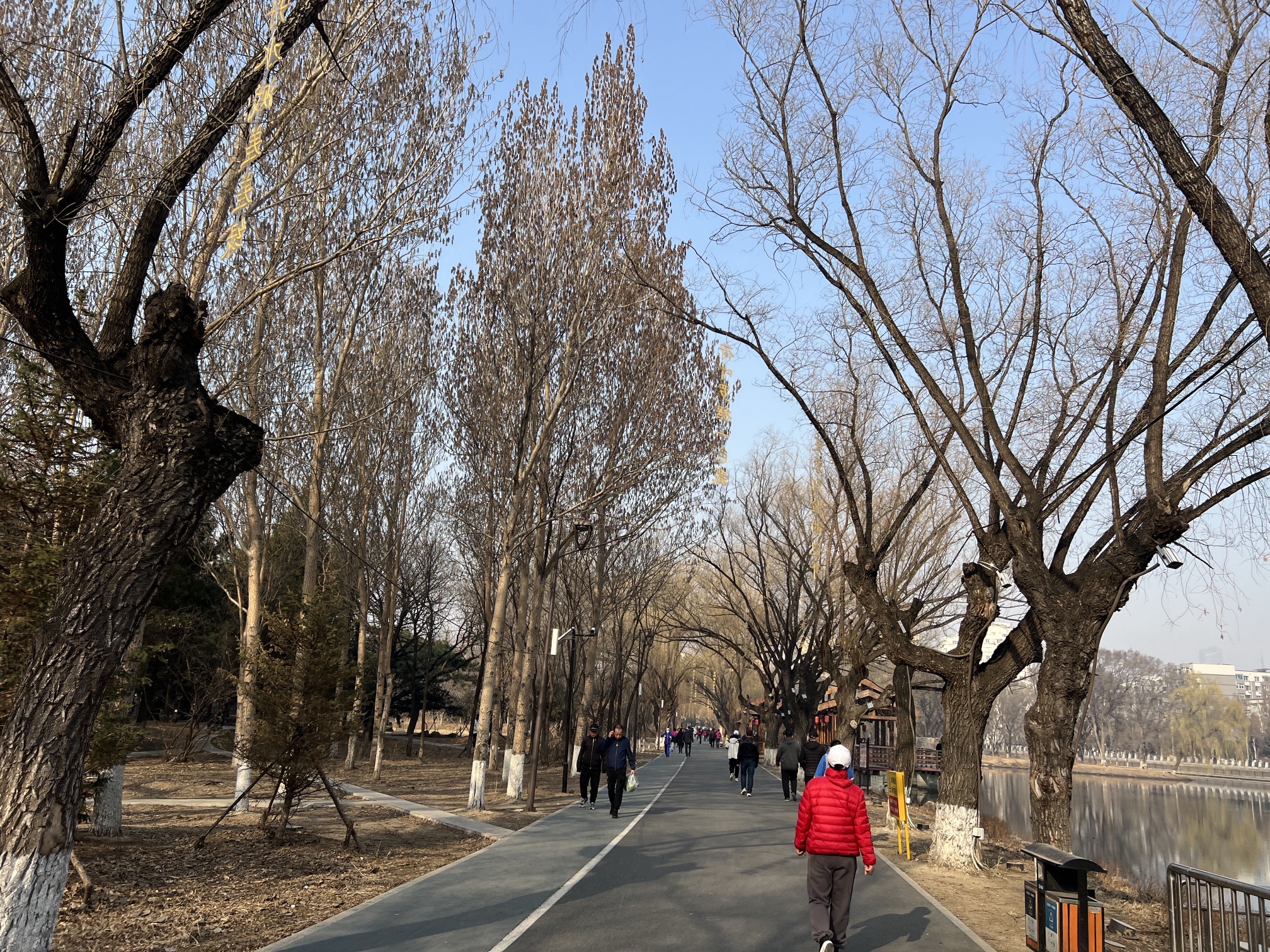 万泉公园旅行图片 2