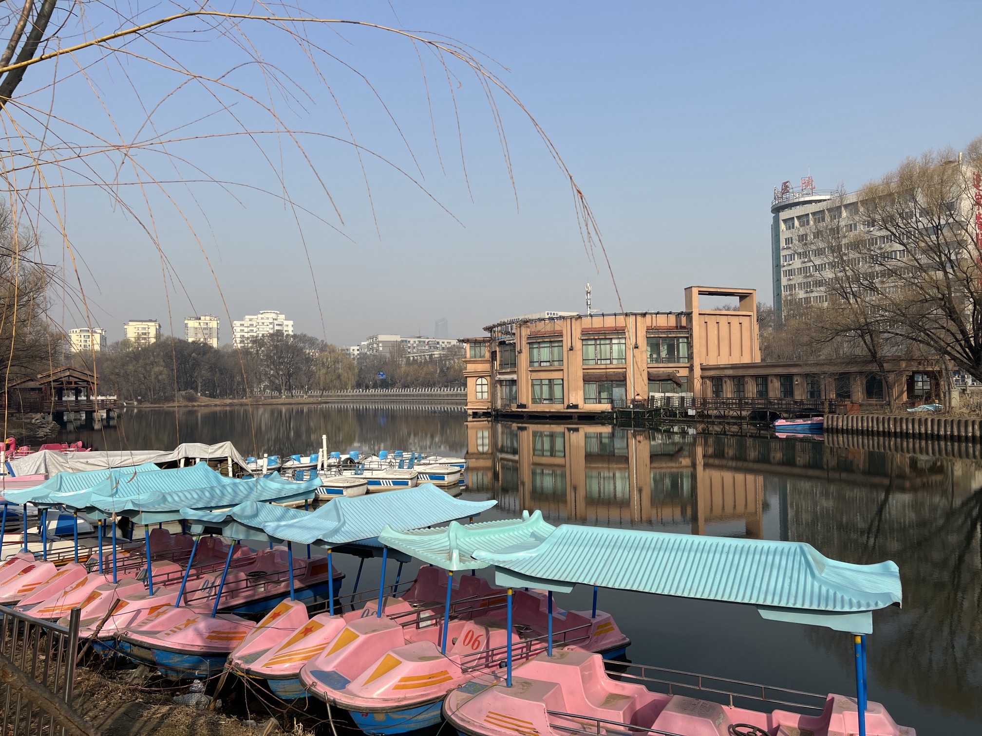 万泉公园旅行图片 3