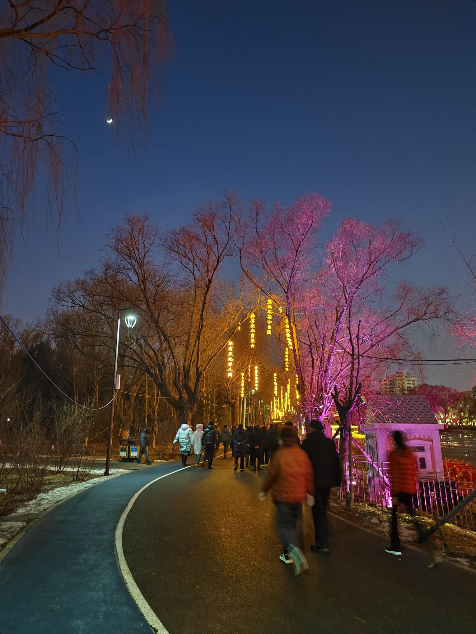 万泉公园旅行图片 2
