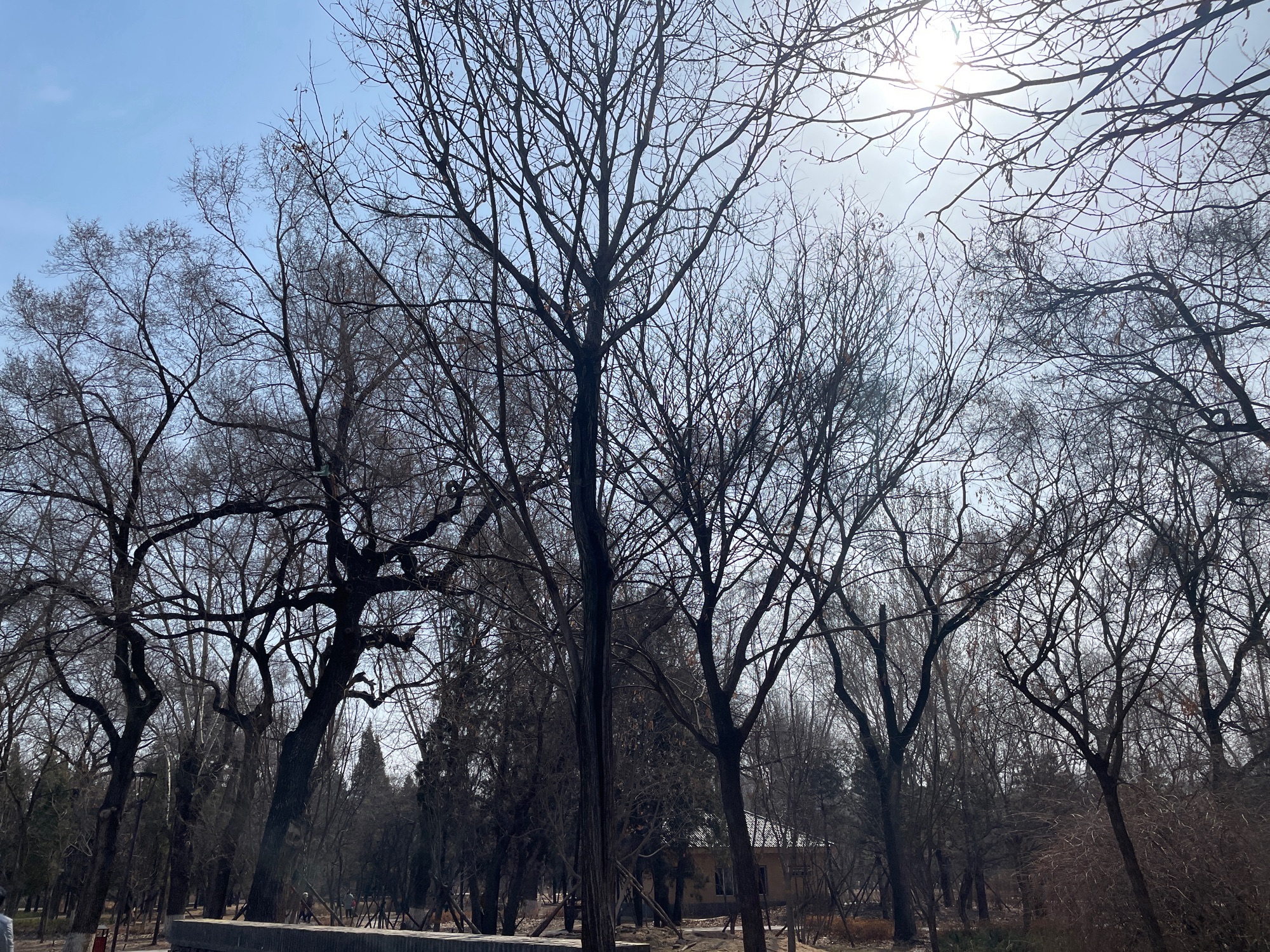 万泉公园旅行图片 1