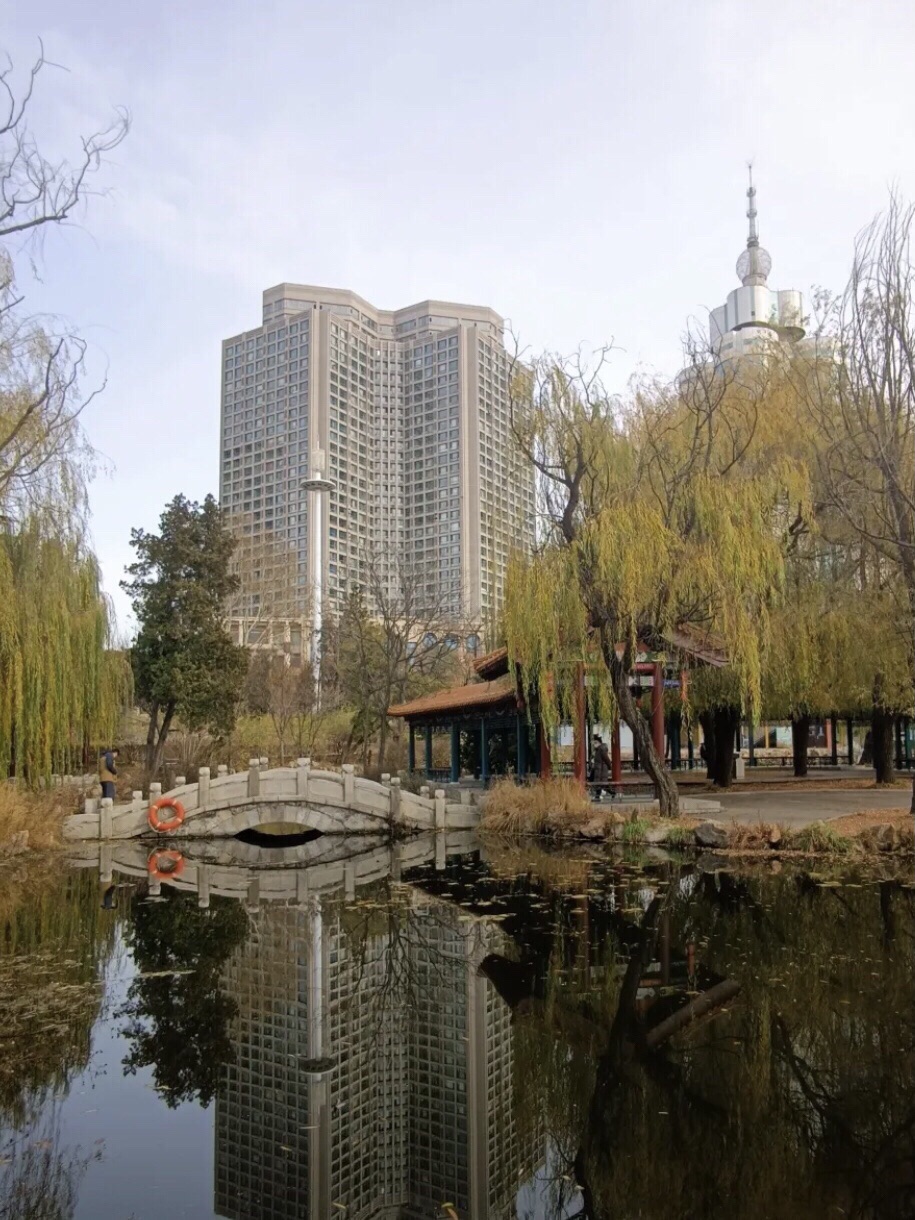 大东公园旅行图片 1