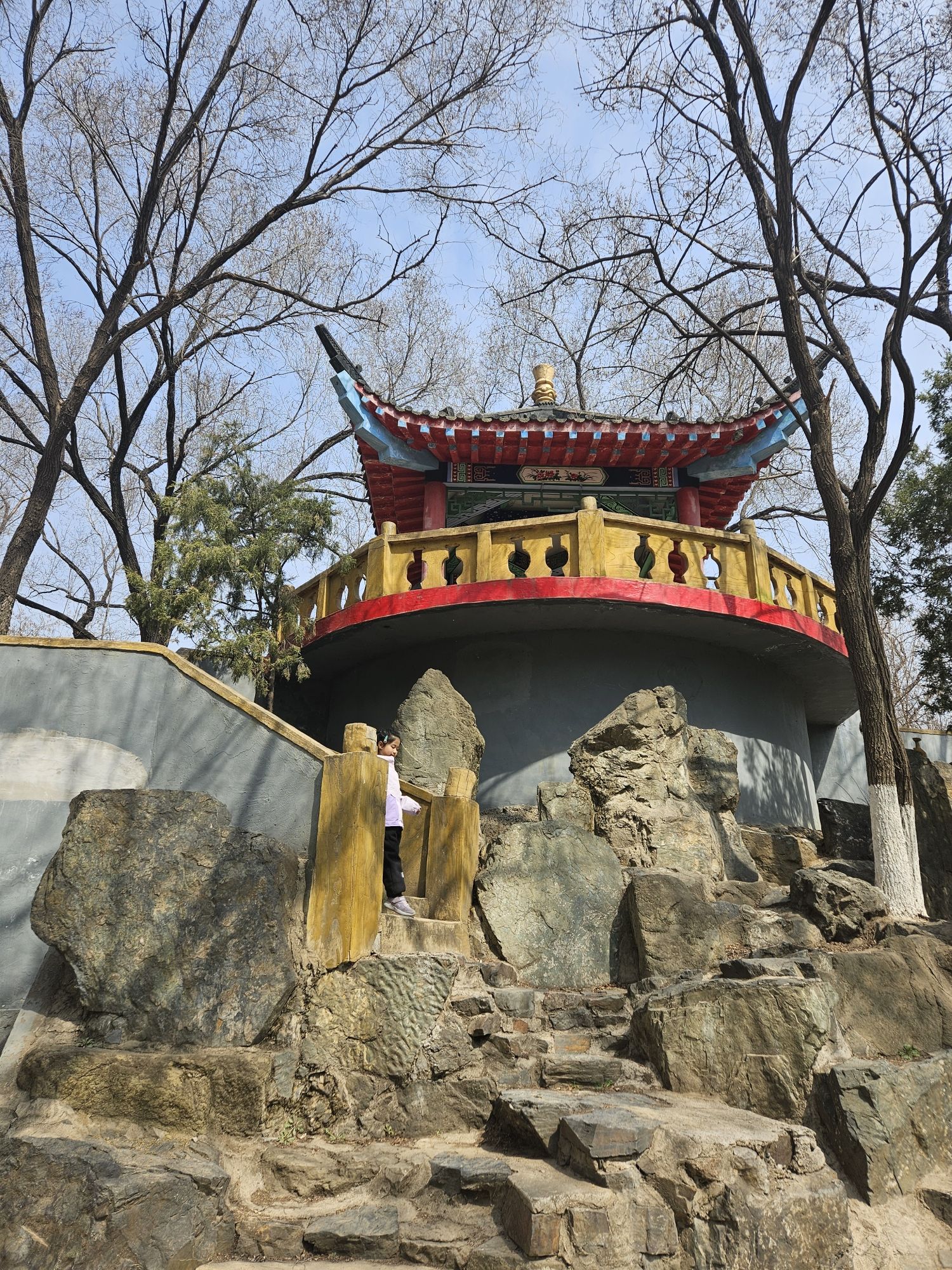 大东公园旅行图片 2