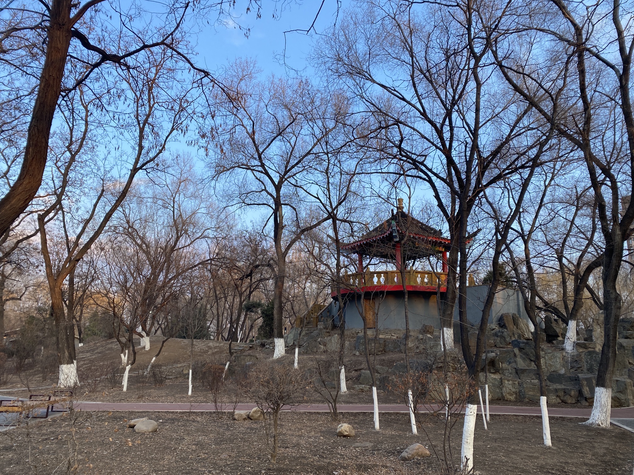 大东公园旅行图片 2