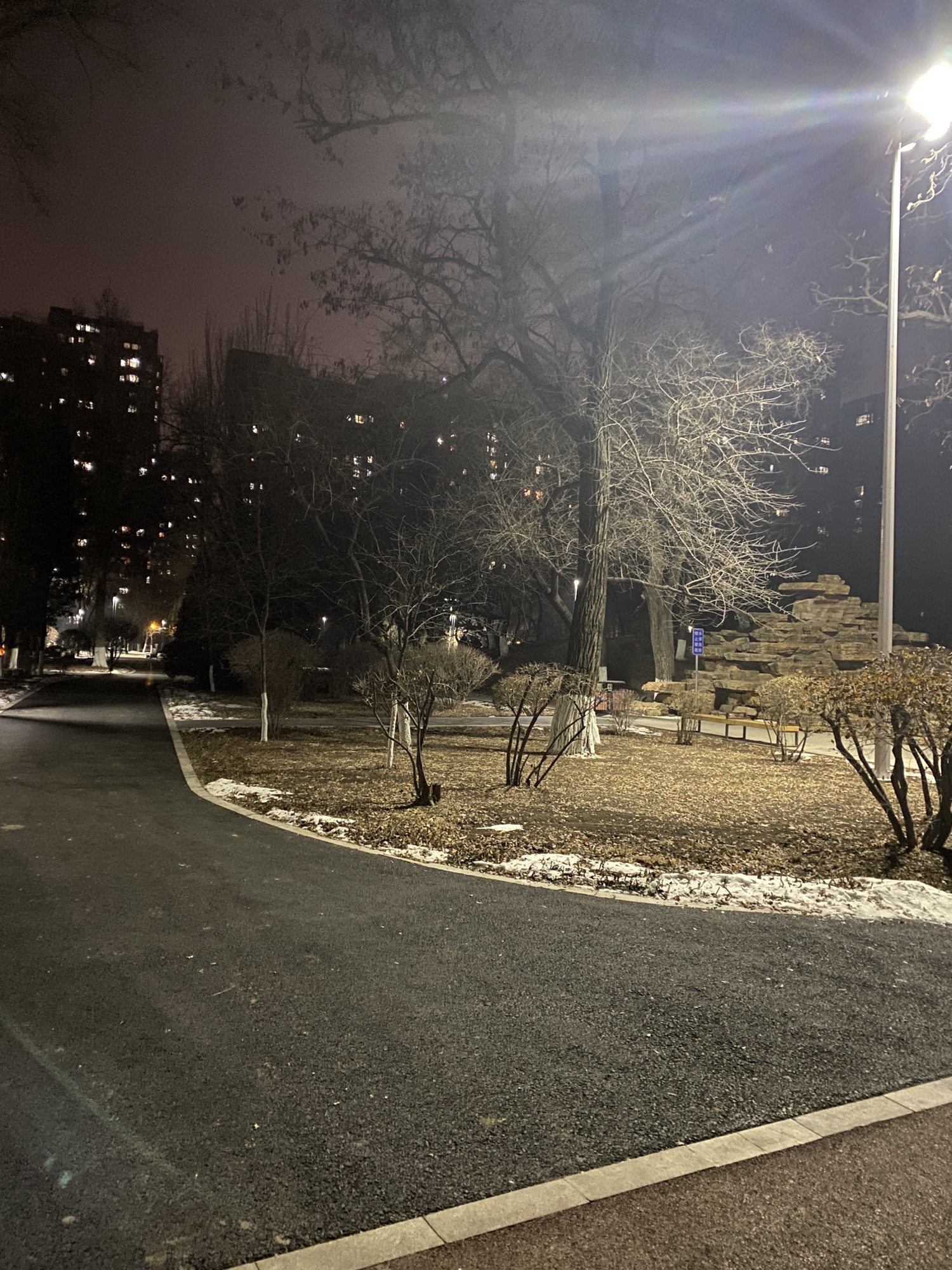 大东公园旅行图片 2