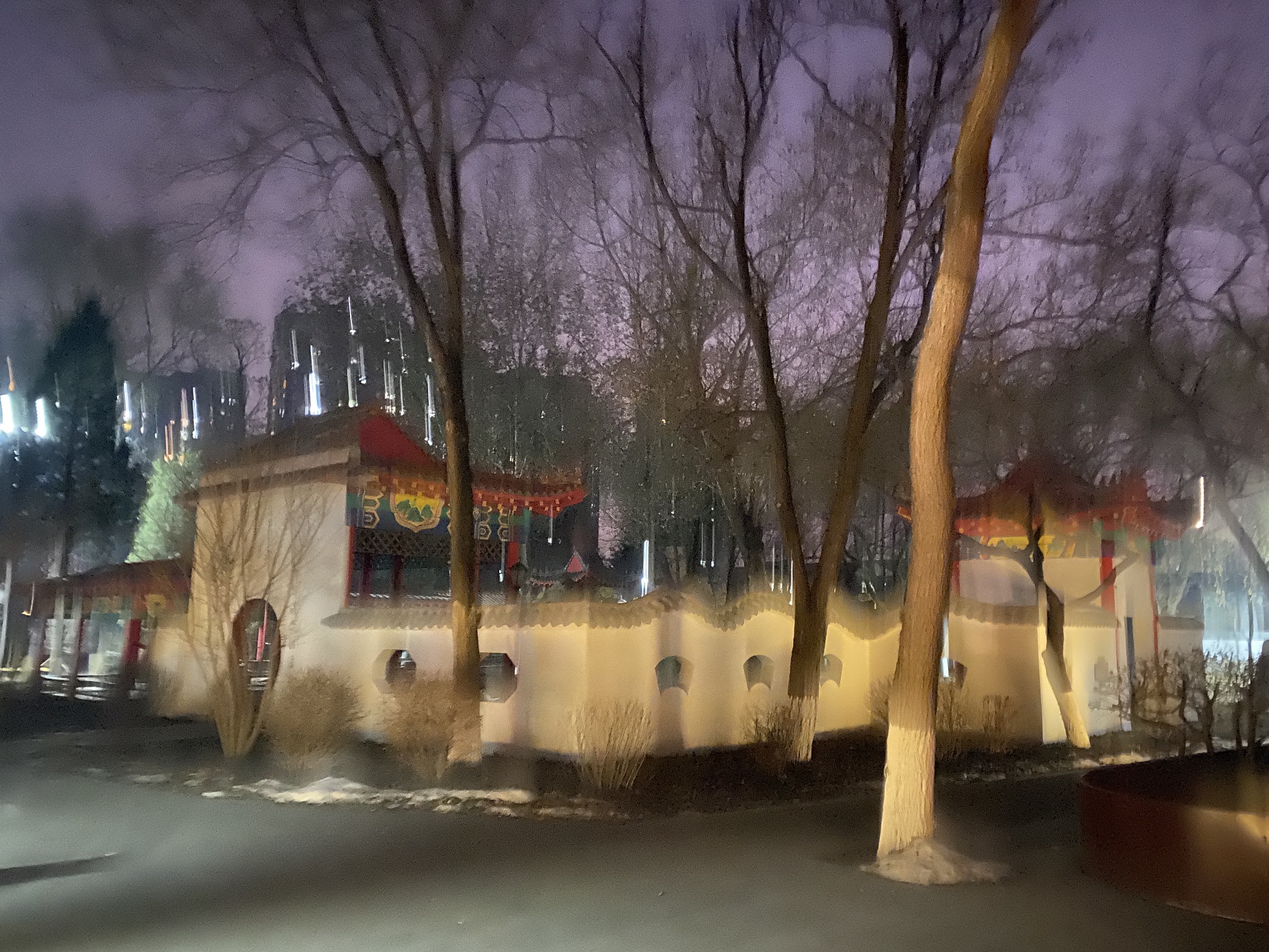 大东公园旅行图片 3