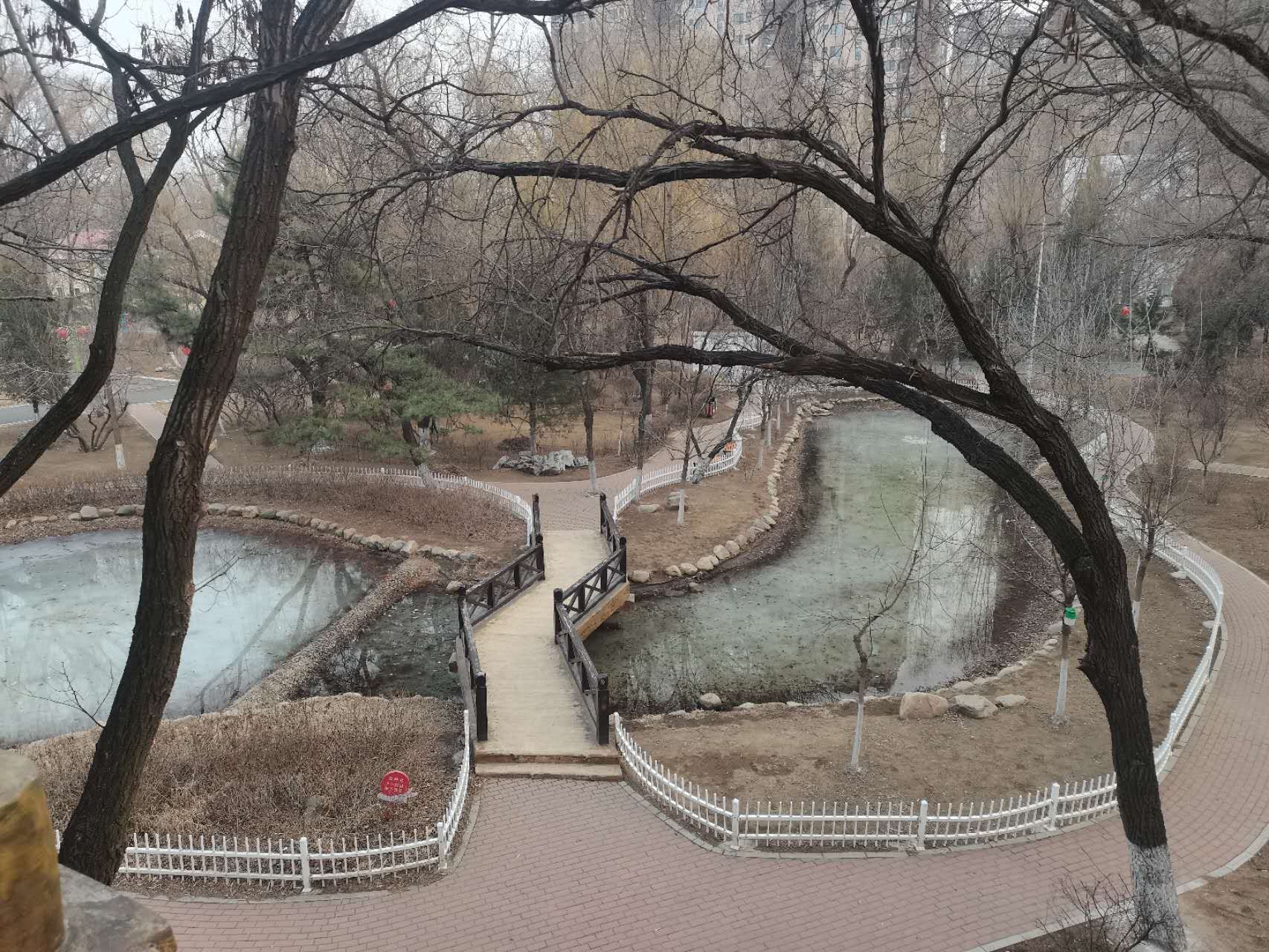 大东公园旅行图片 2