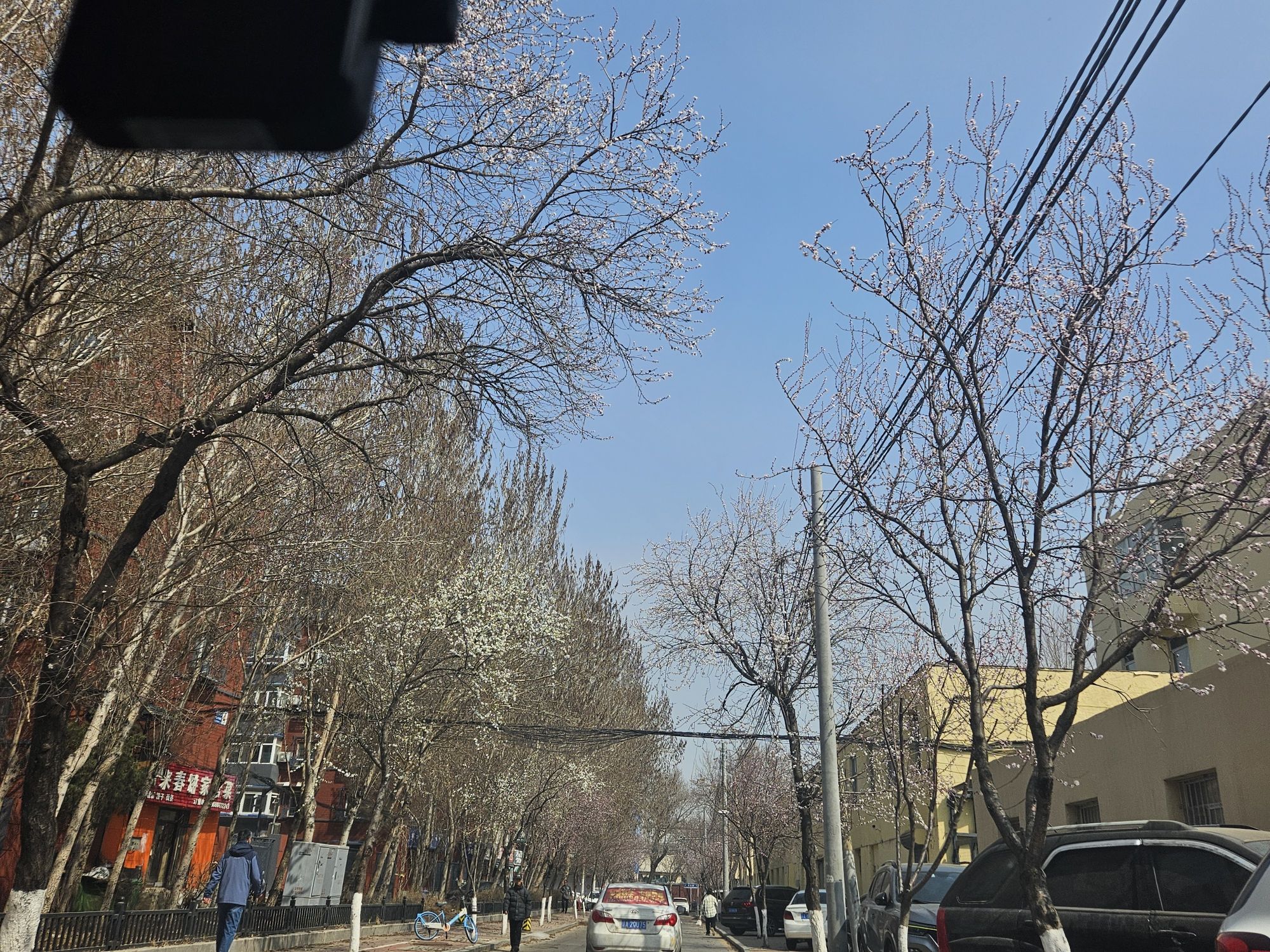 大东公园旅行图片 3