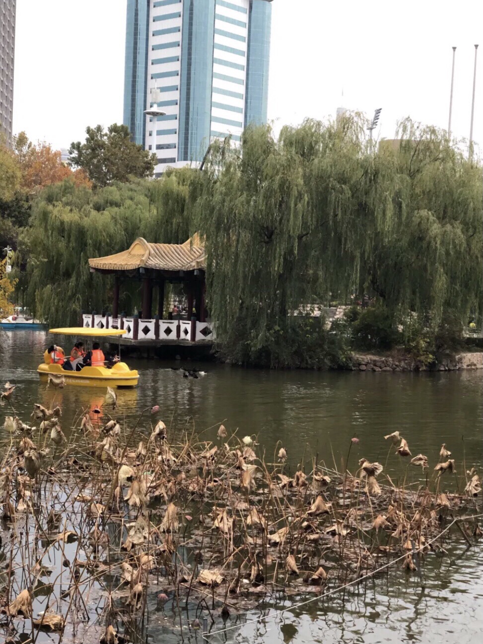 大东公园旅行图片 2