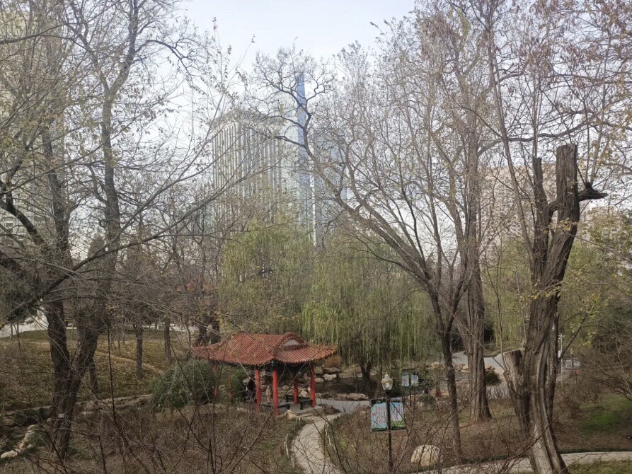 大东公园旅行图片 3