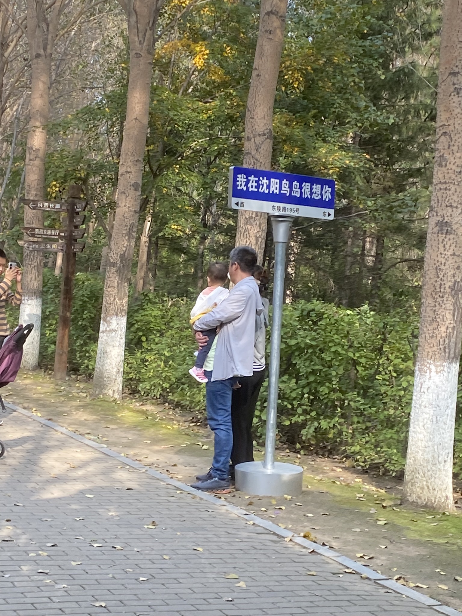 沈阳鸟岛旅行图片 1
