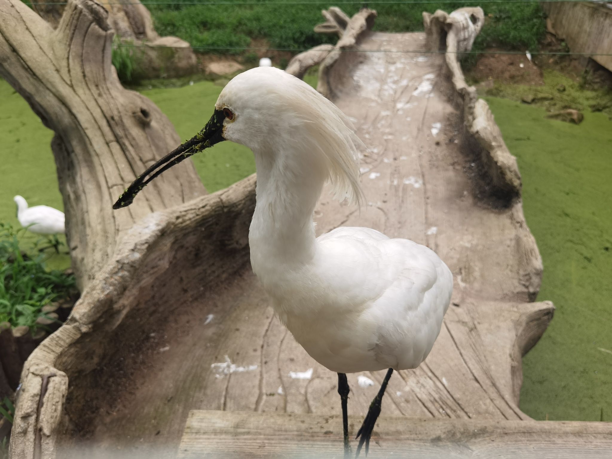 沈阳鸟岛旅行图片 3