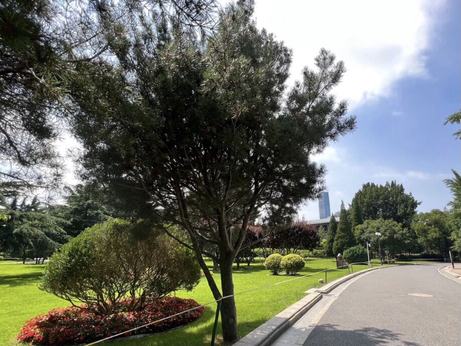 长青公园旅行图片 1