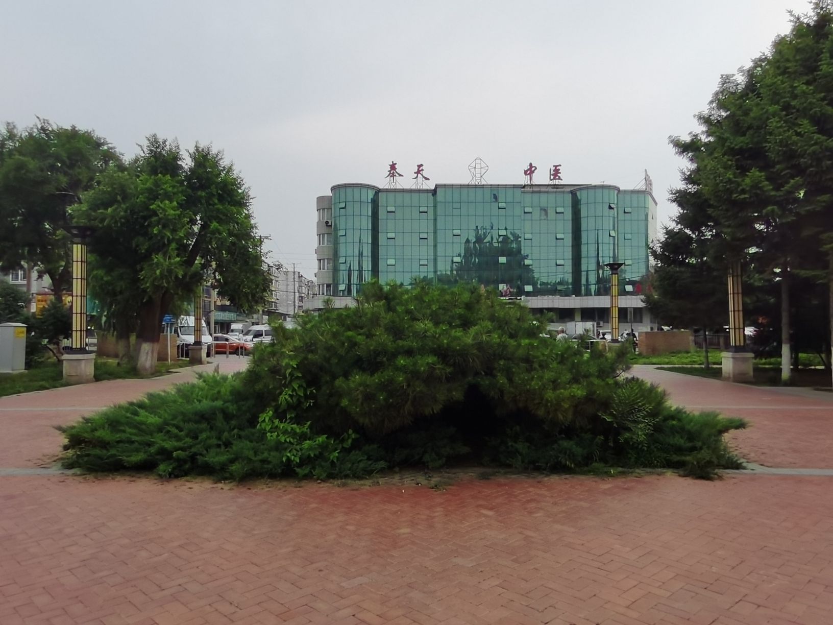 长青公园旅行图片 1
