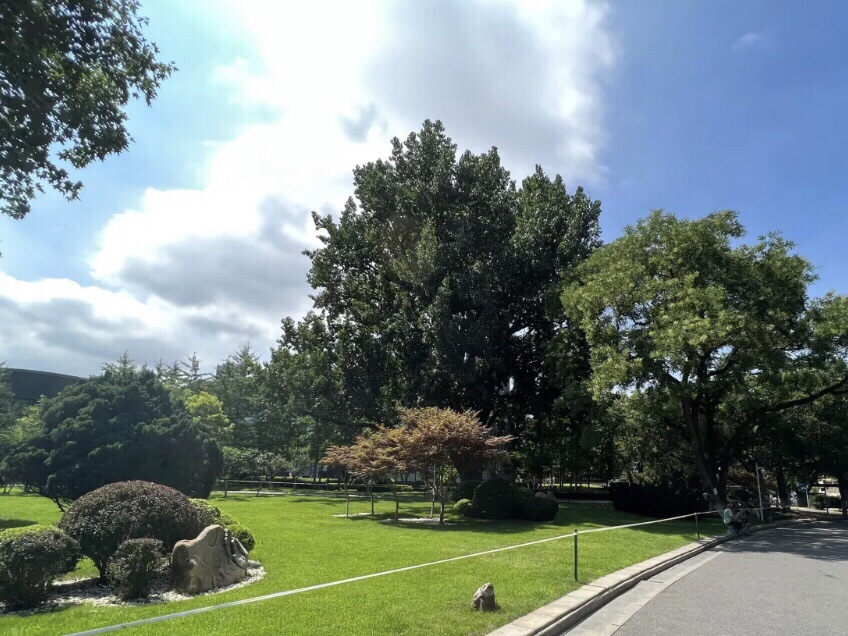 长青公园旅行图片 2