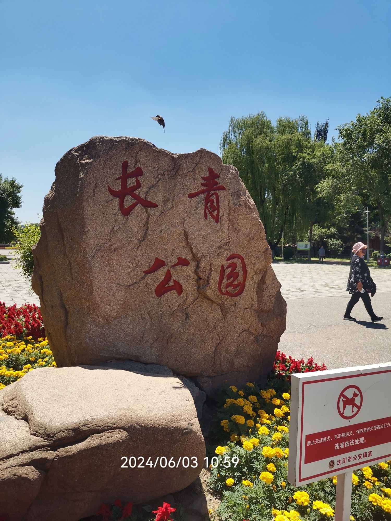长青公园旅行图片 1