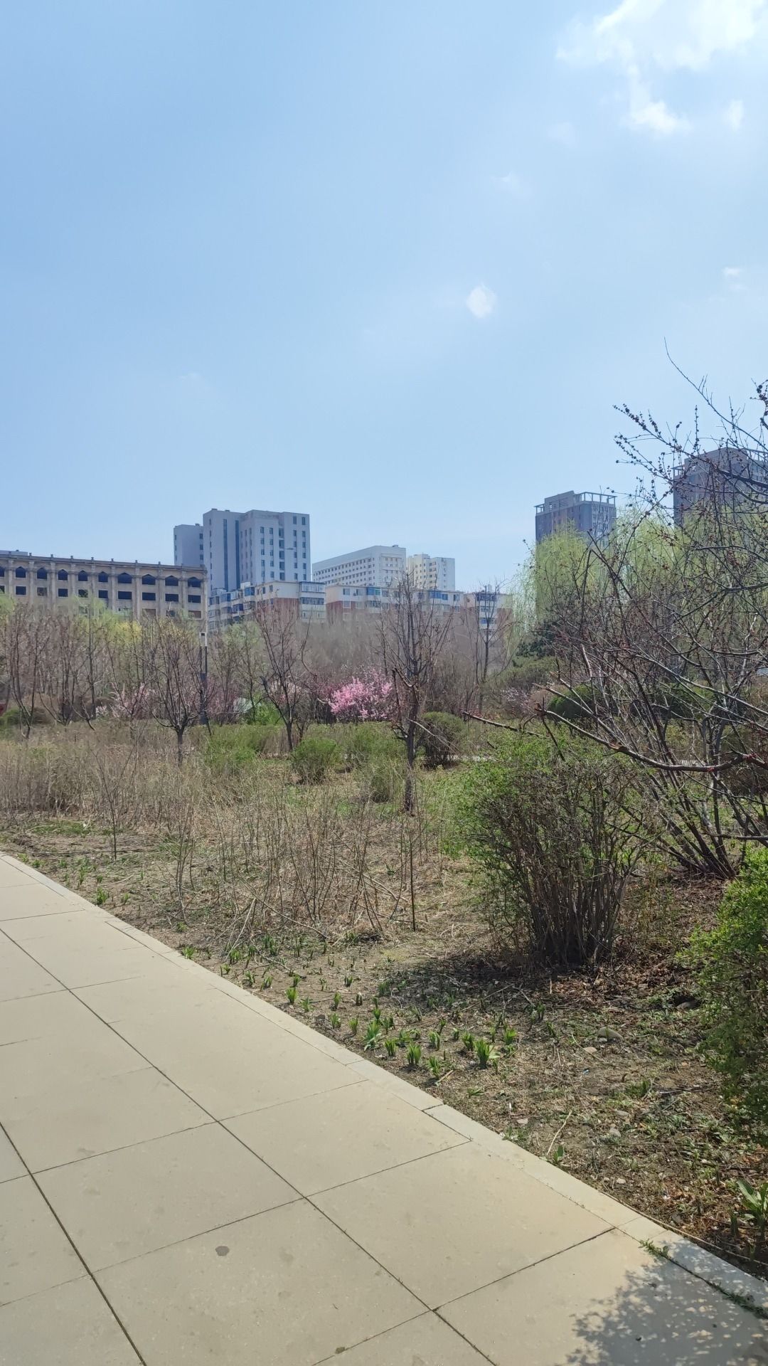 碧塘公园旅行图片 2