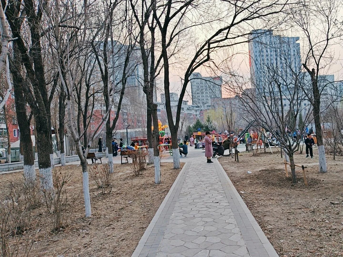 碧塘公园旅行图片 2