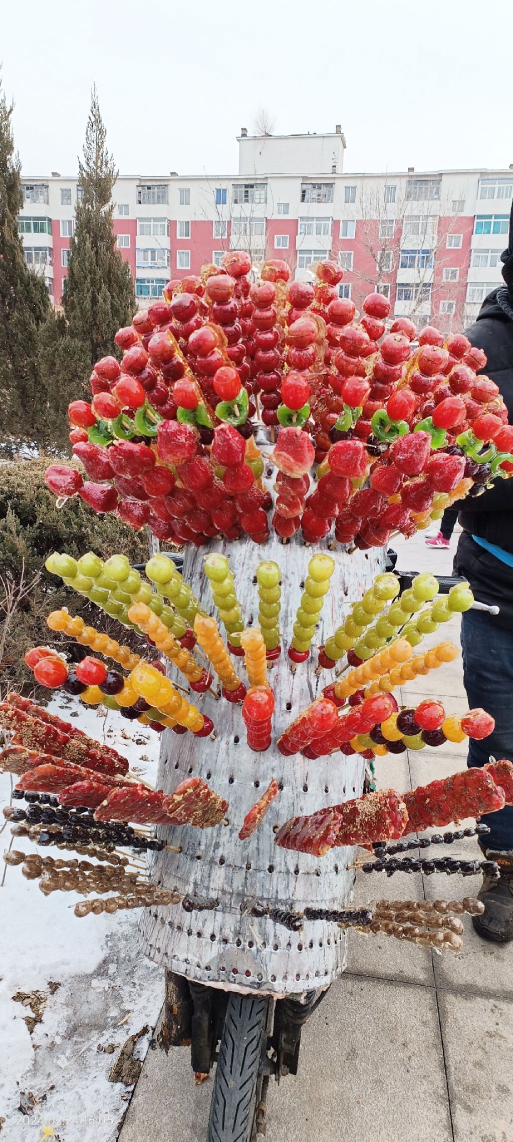 碧塘公园旅行图片 3