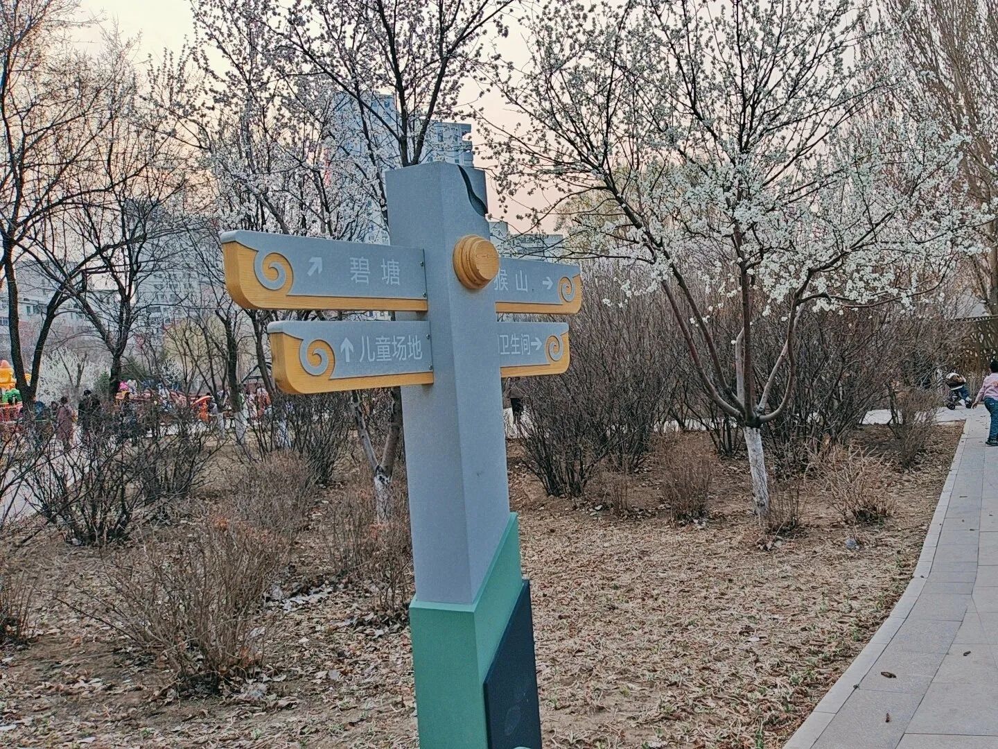碧塘公园旅行图片 3