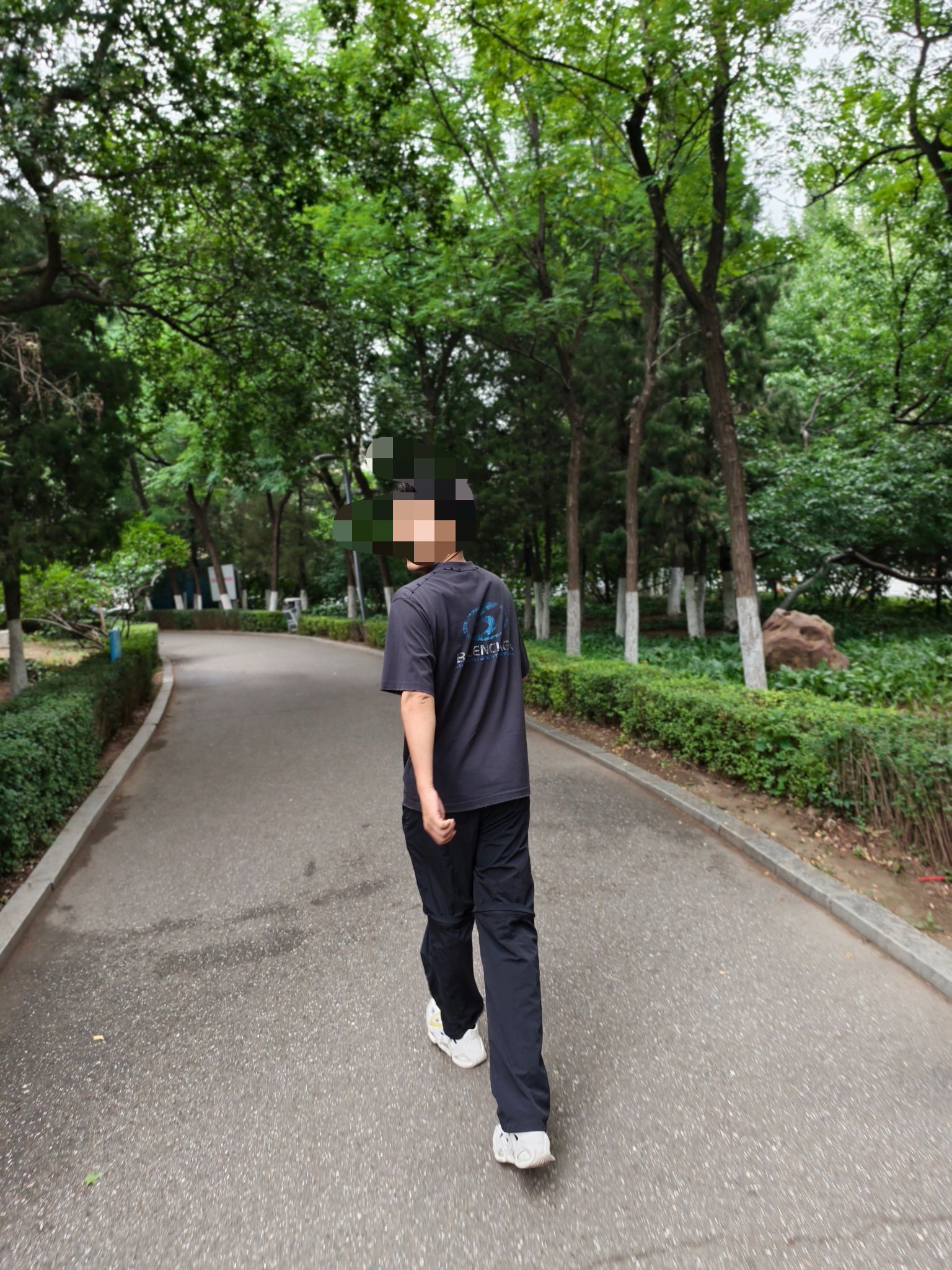 八一公园旅行图片 1