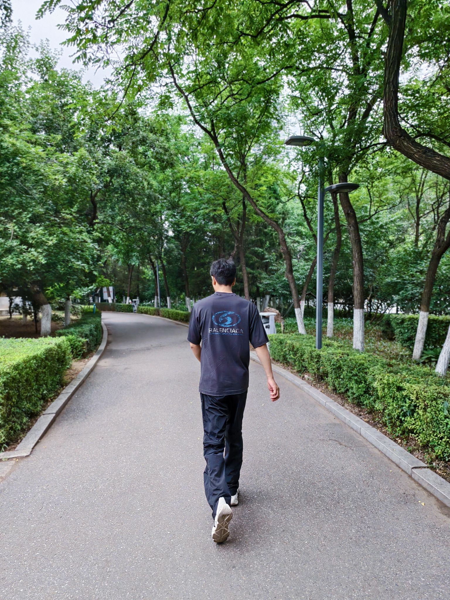 八一公园旅行图片 3