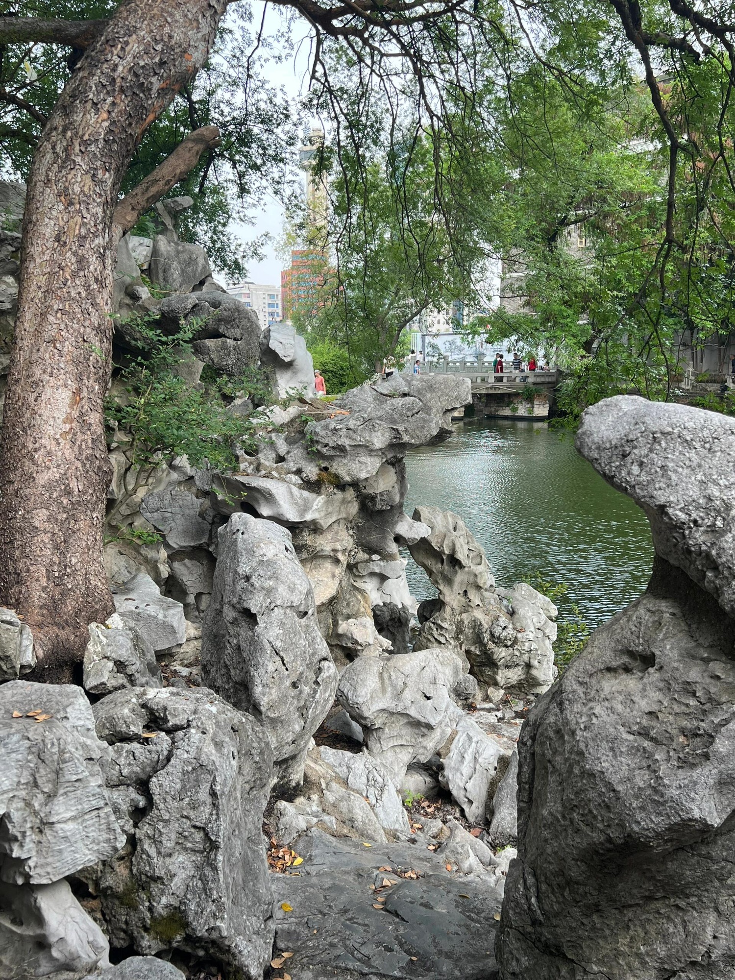 八一公园旅行图片 1
