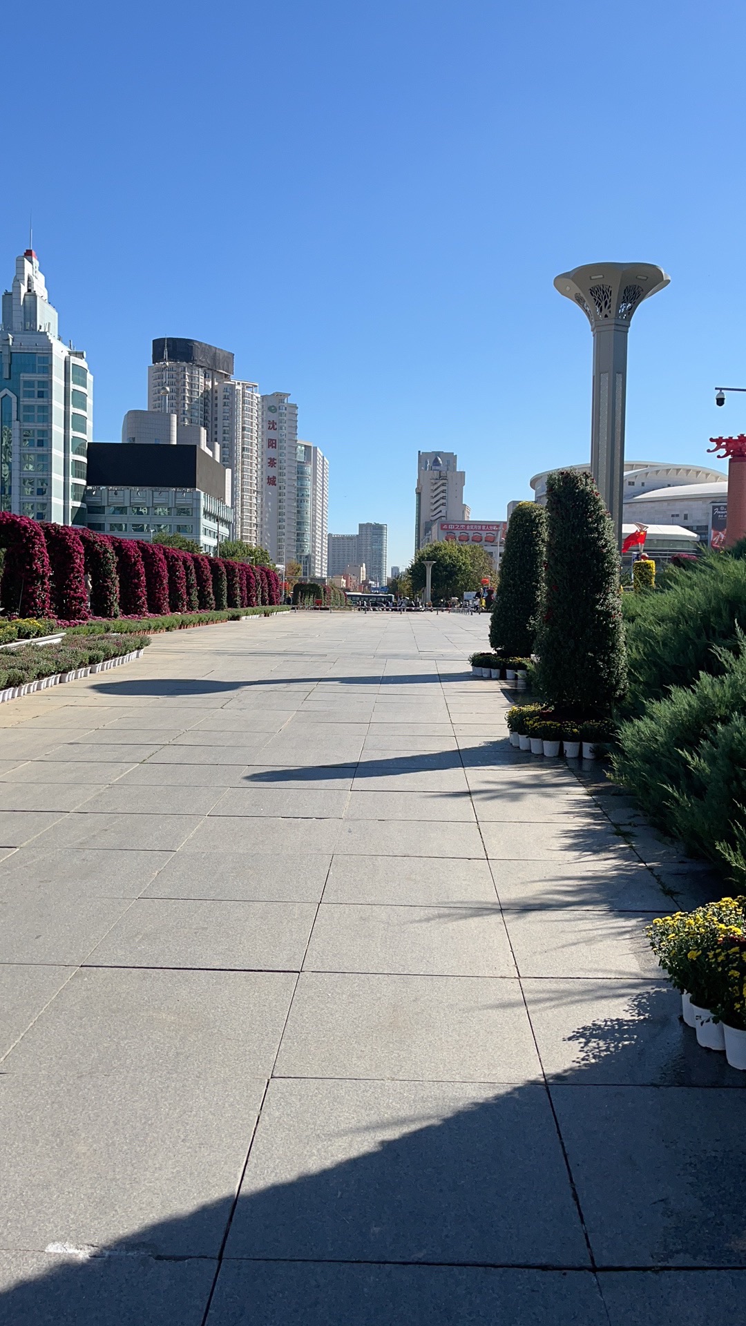 沈阳市人民广场旅行图片 2