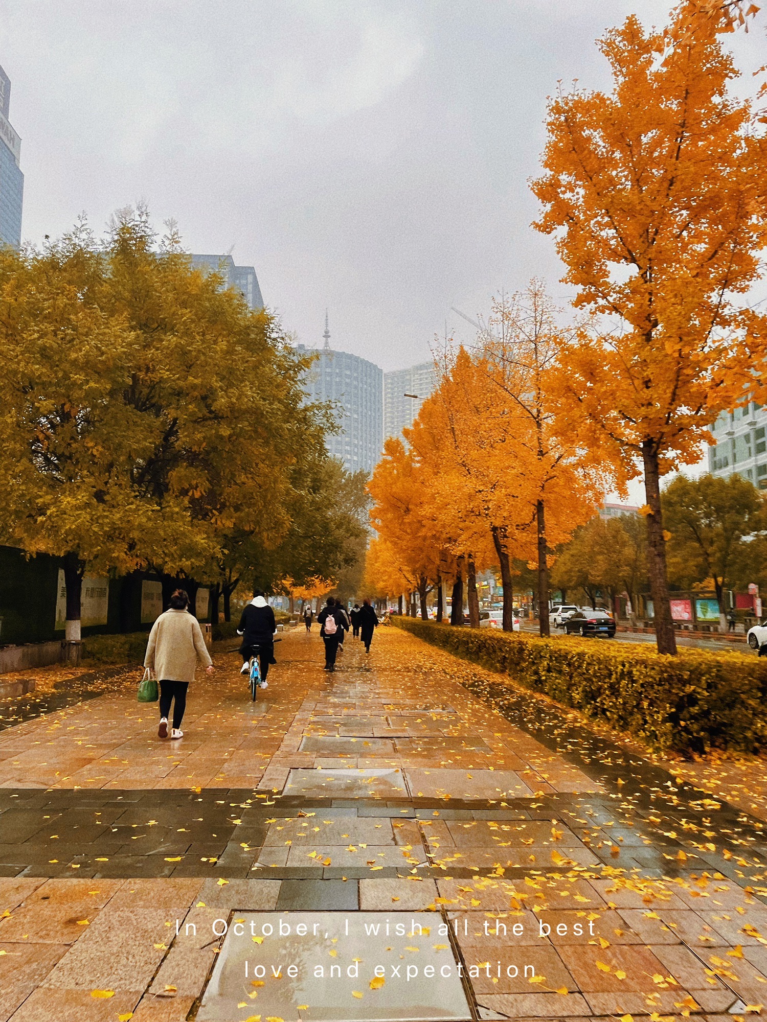 沈阳市人民广场旅行图片 2