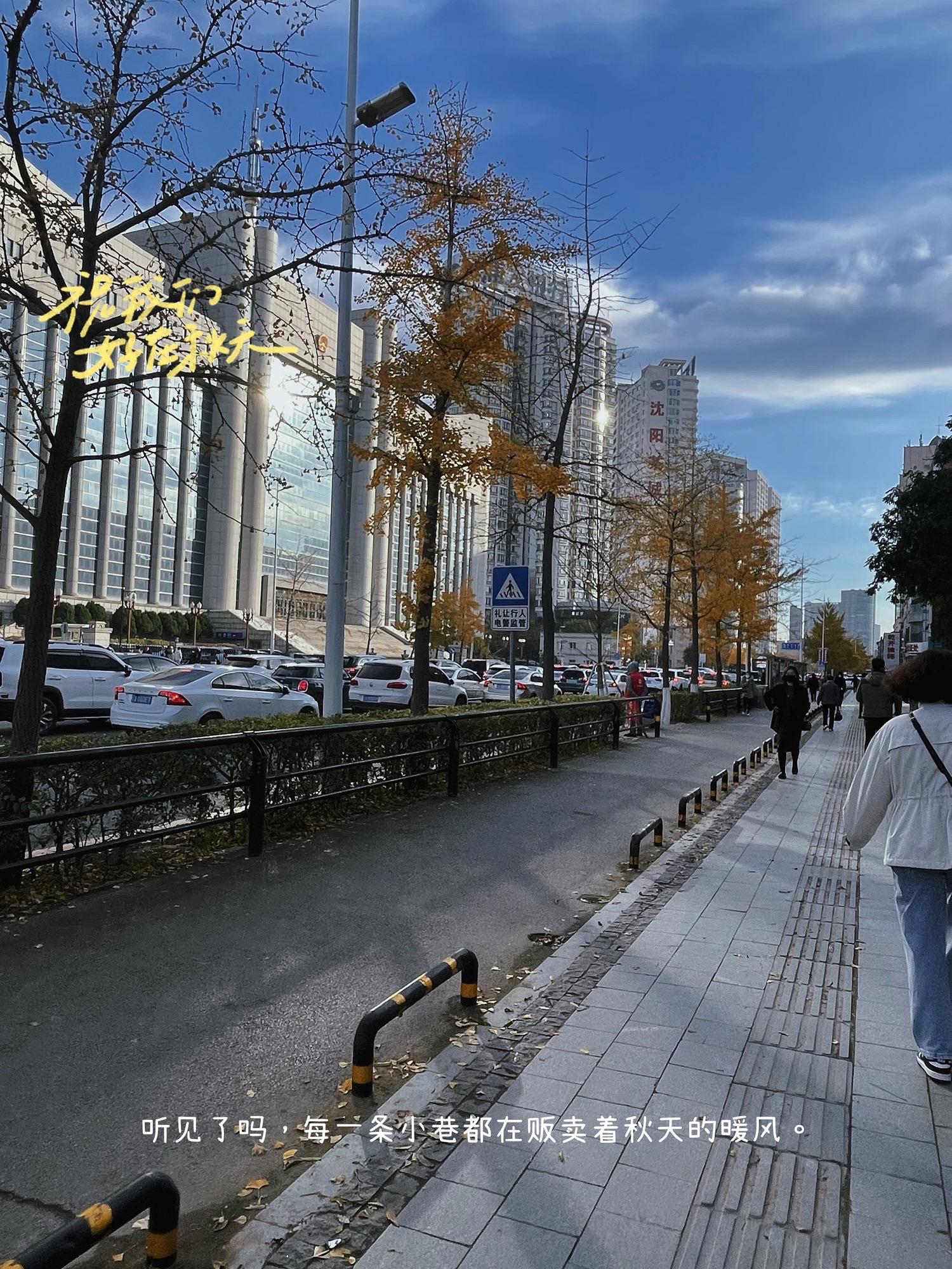 沈阳市人民广场旅行图片 3