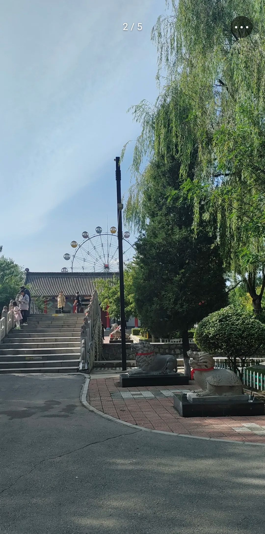 沈采公园旅行图片 2