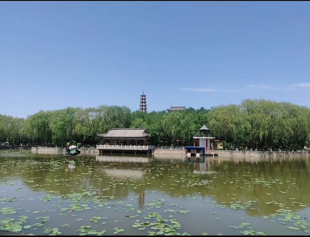 沈采公园旅行图片 3