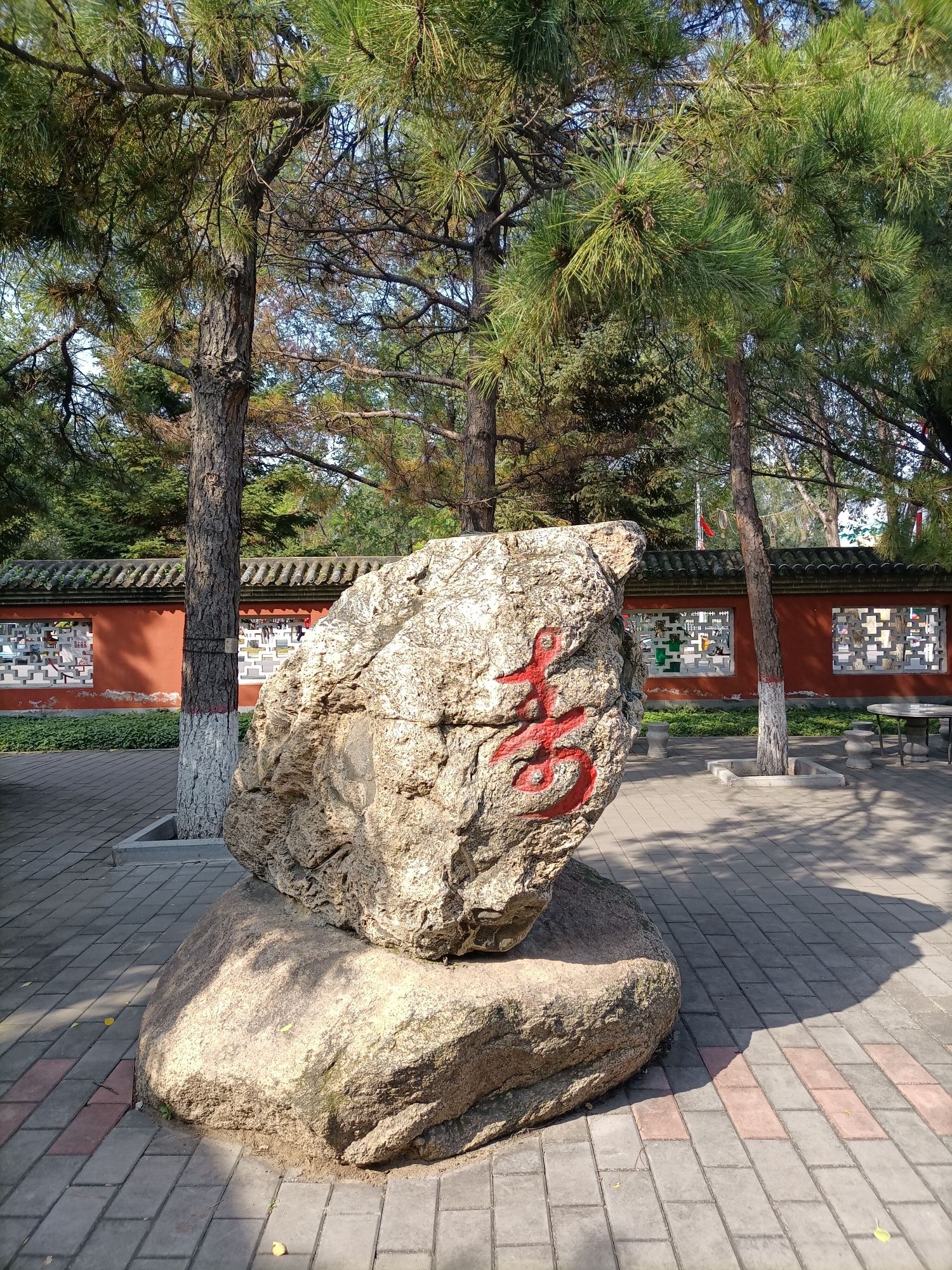 沈采公园旅行图片 3