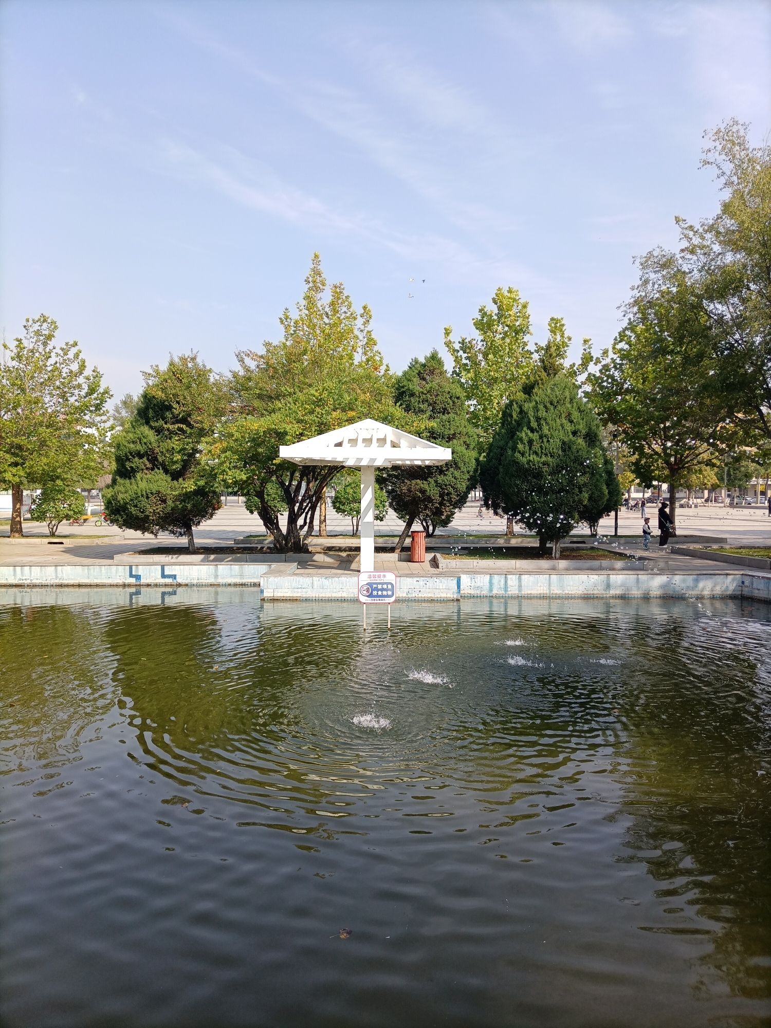 沈采公园旅行图片 1
