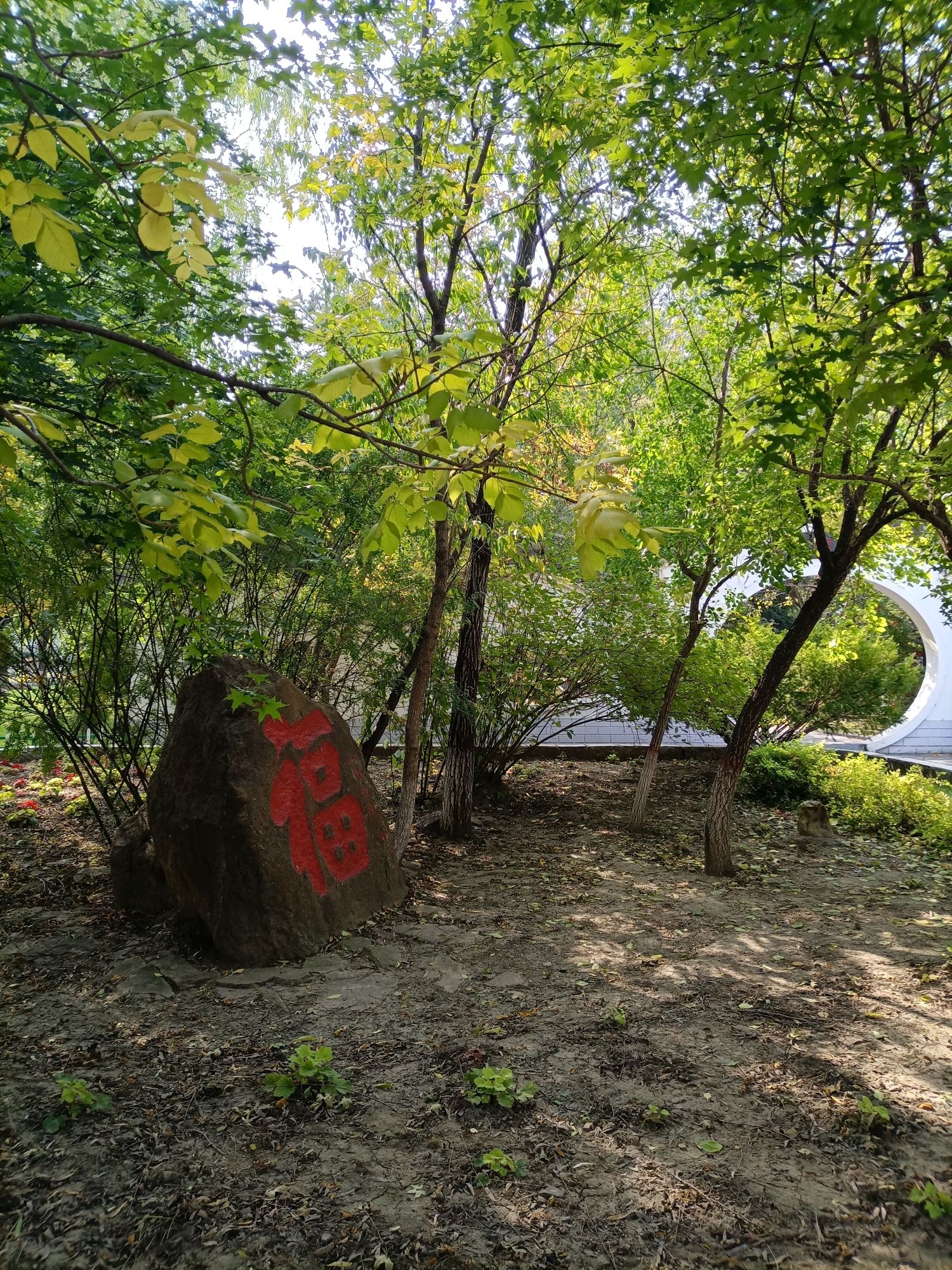 沈采公园旅行图片 2