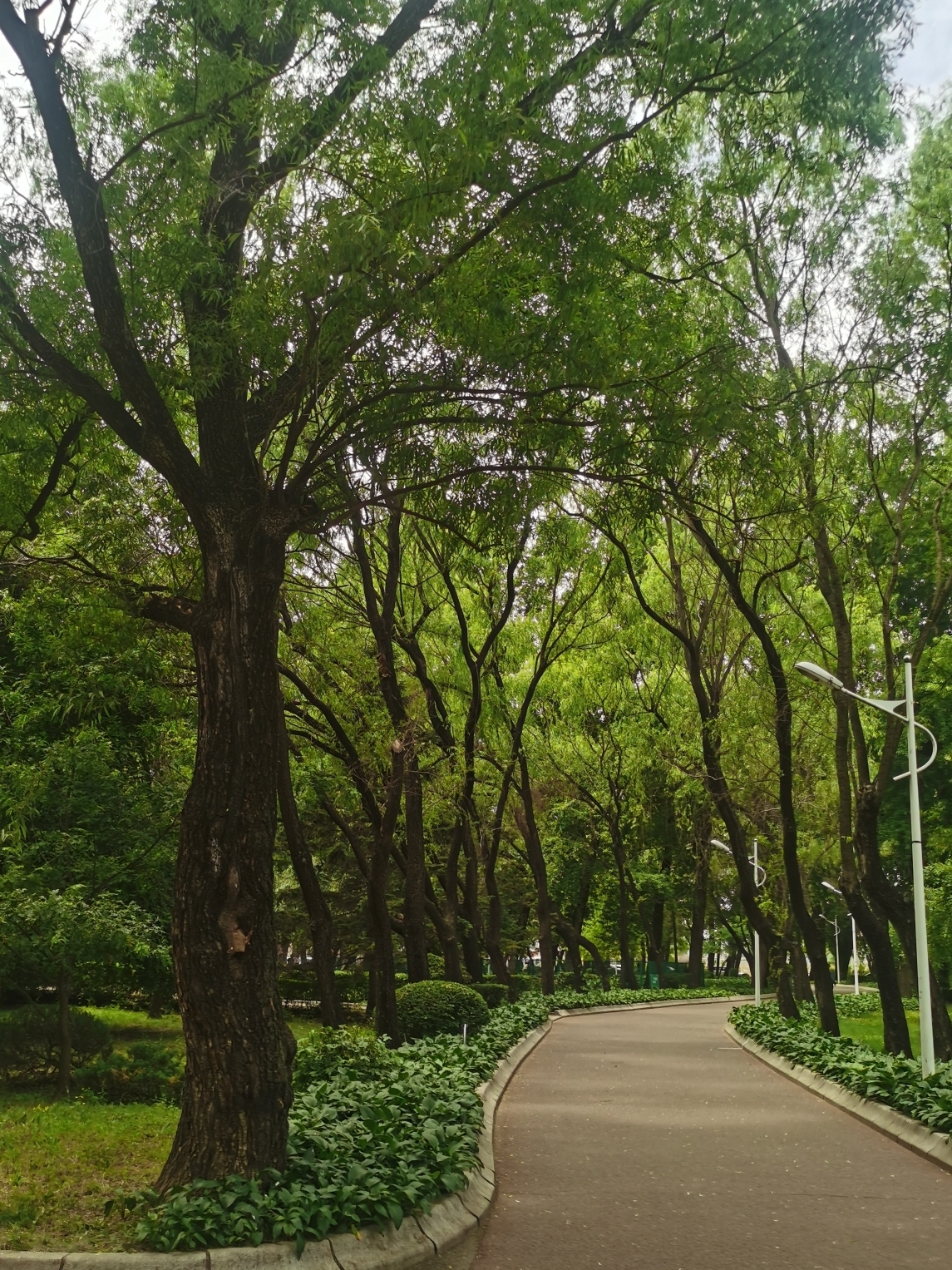新城公园旅行图片 3