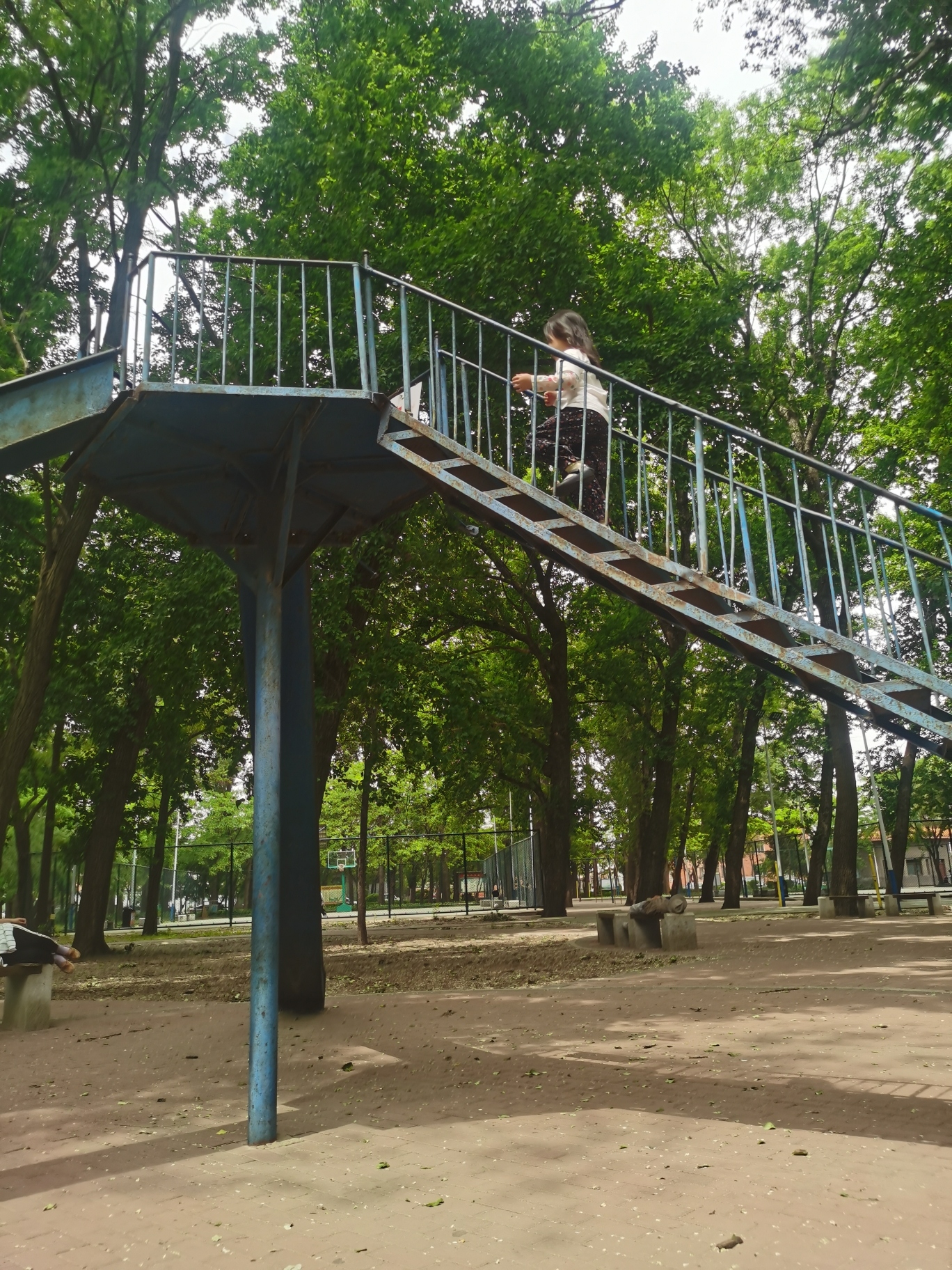 新城公园旅行图片 2
