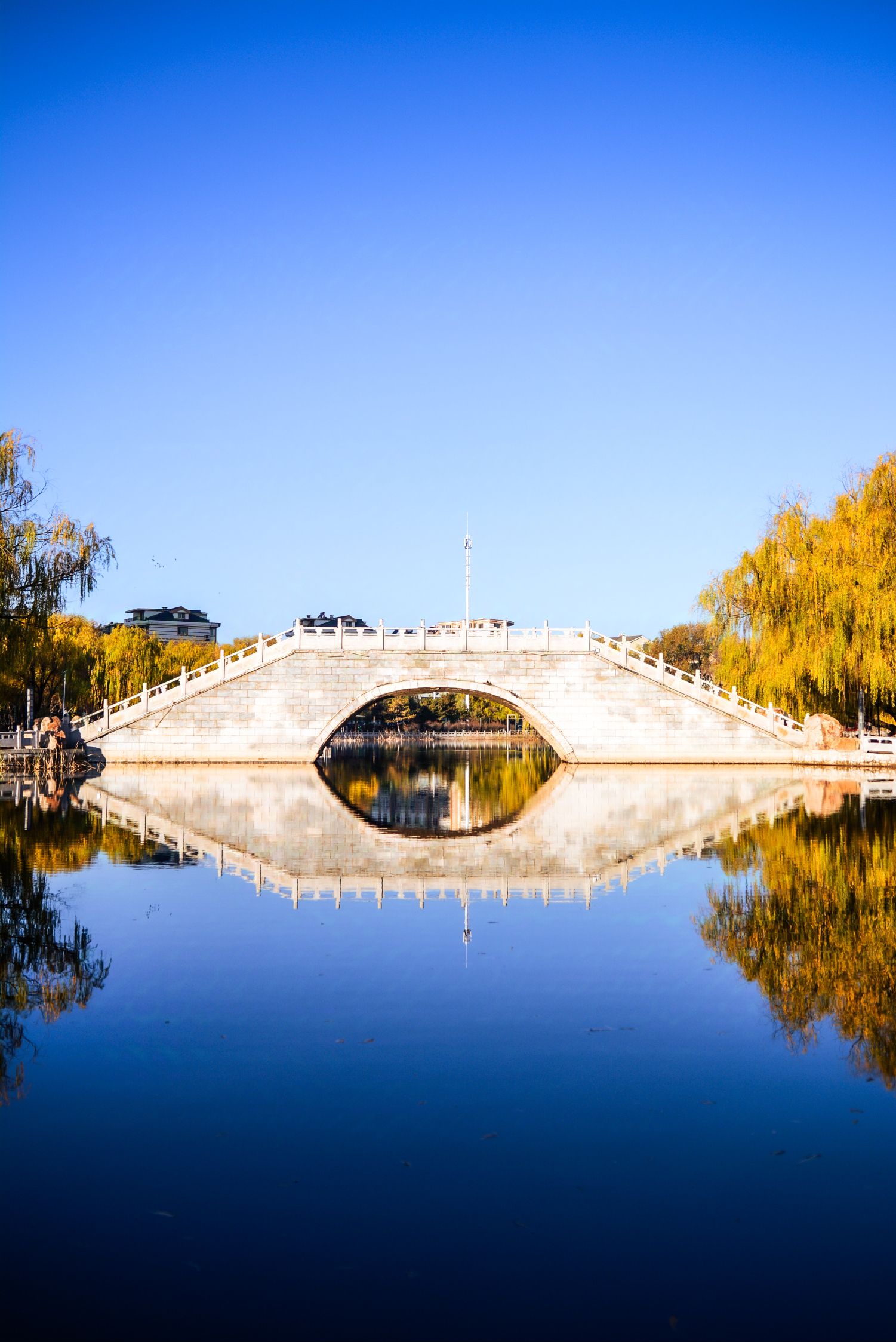 湖滨公园旅行图片 2