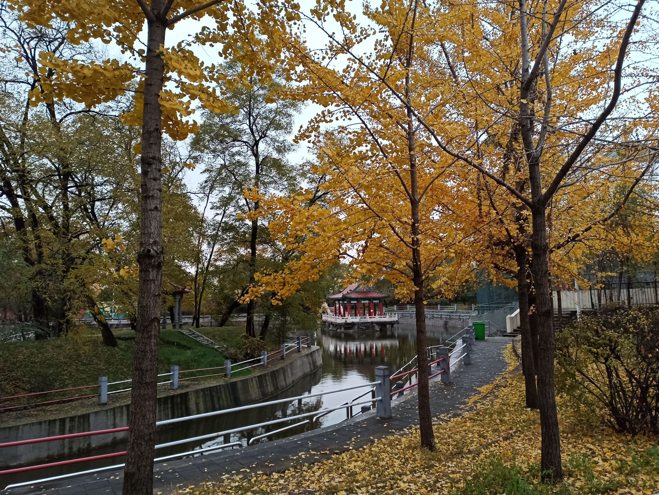 长胜公园旅行图片 1