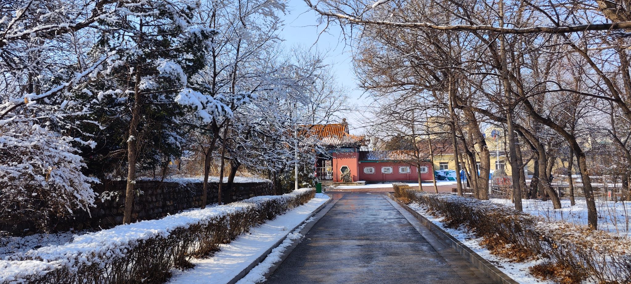 长胜公园旅行图片 1