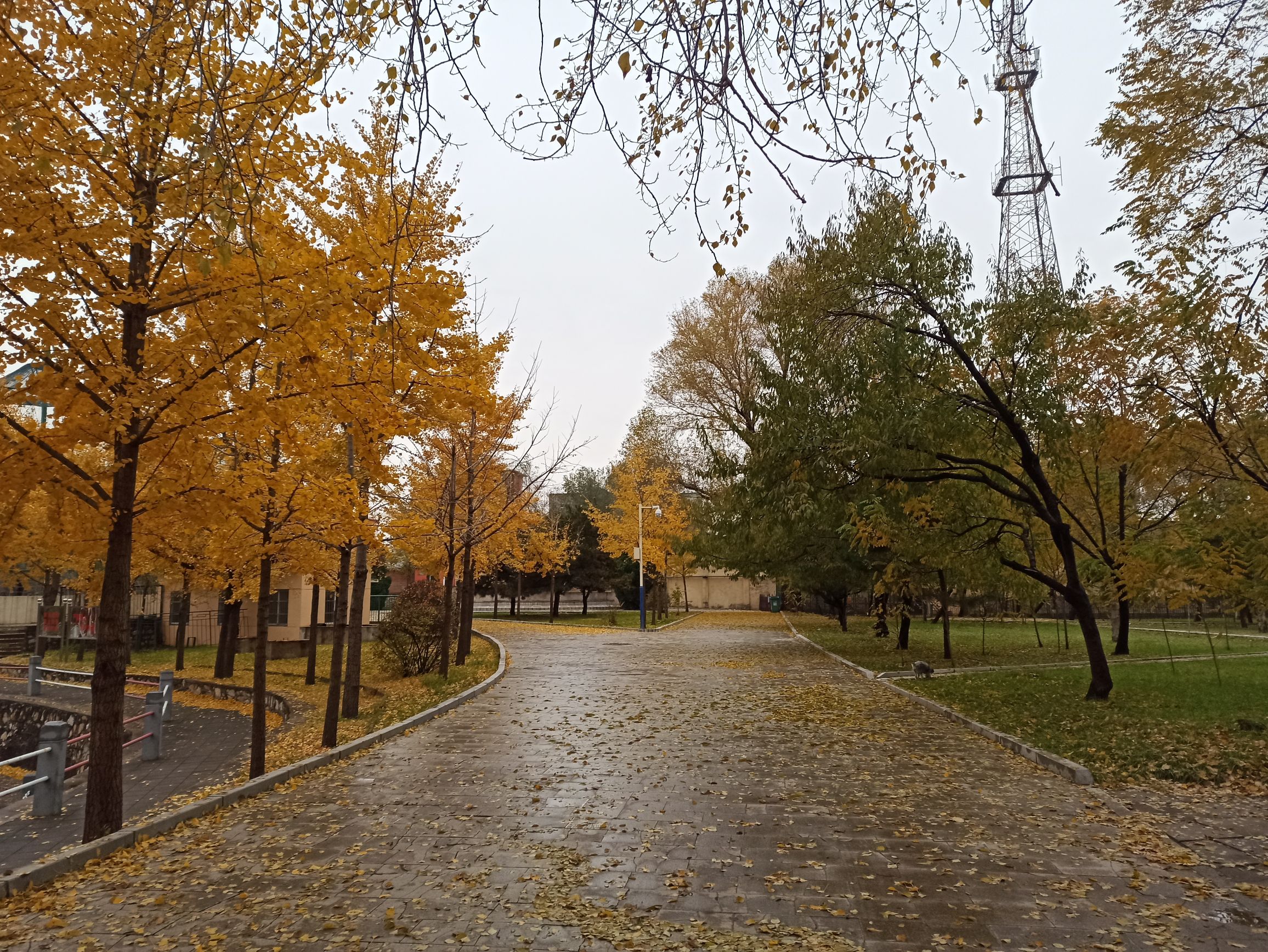 长胜公园旅行图片 2