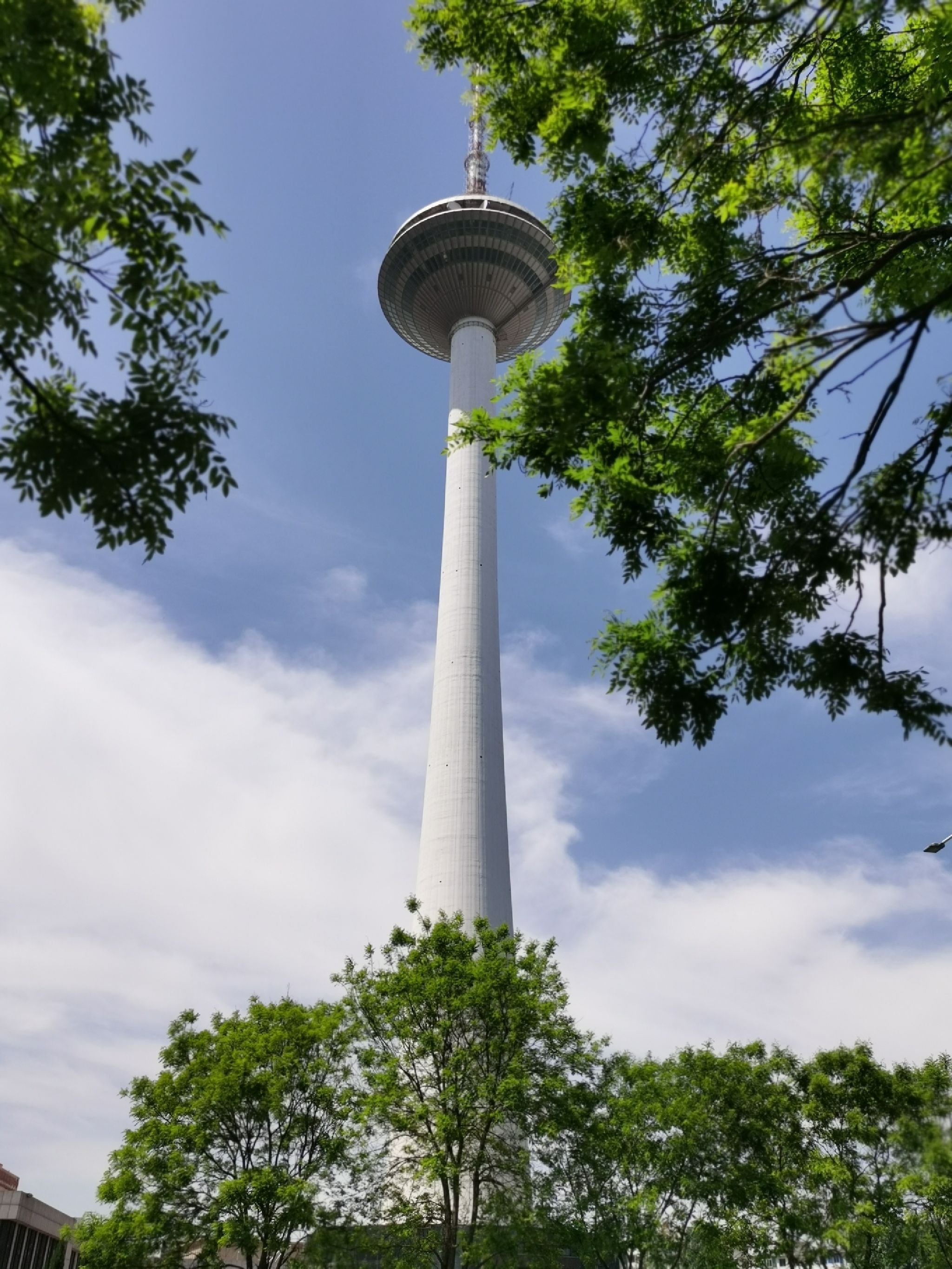 青年公园旅行图片 1
