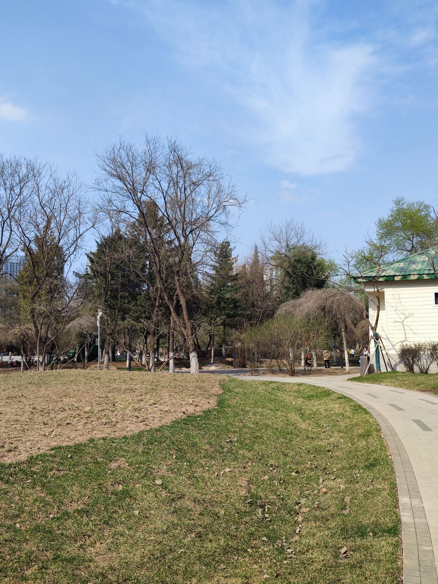 青年公园旅行图片 2