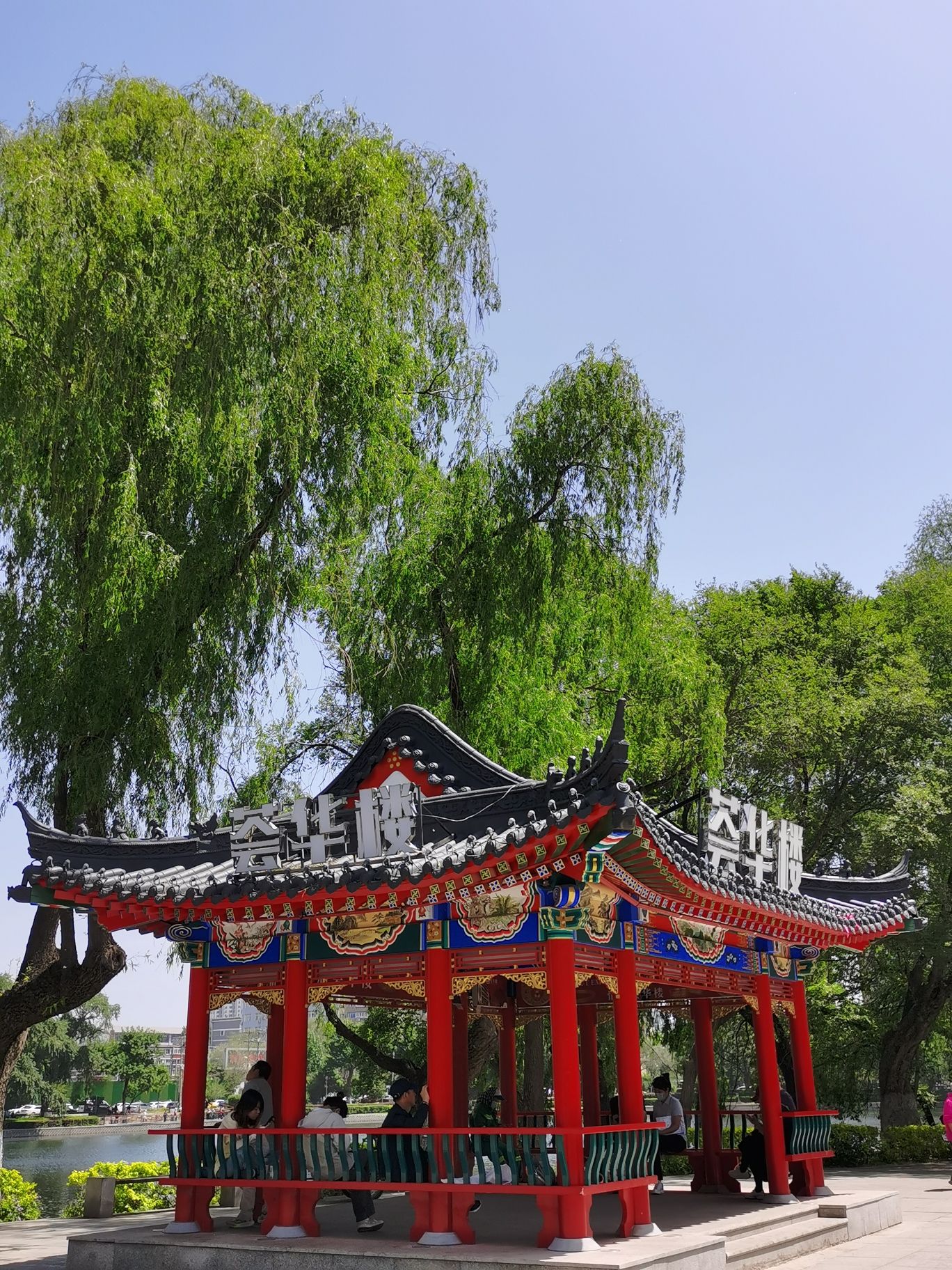 青年公园旅行图片 3