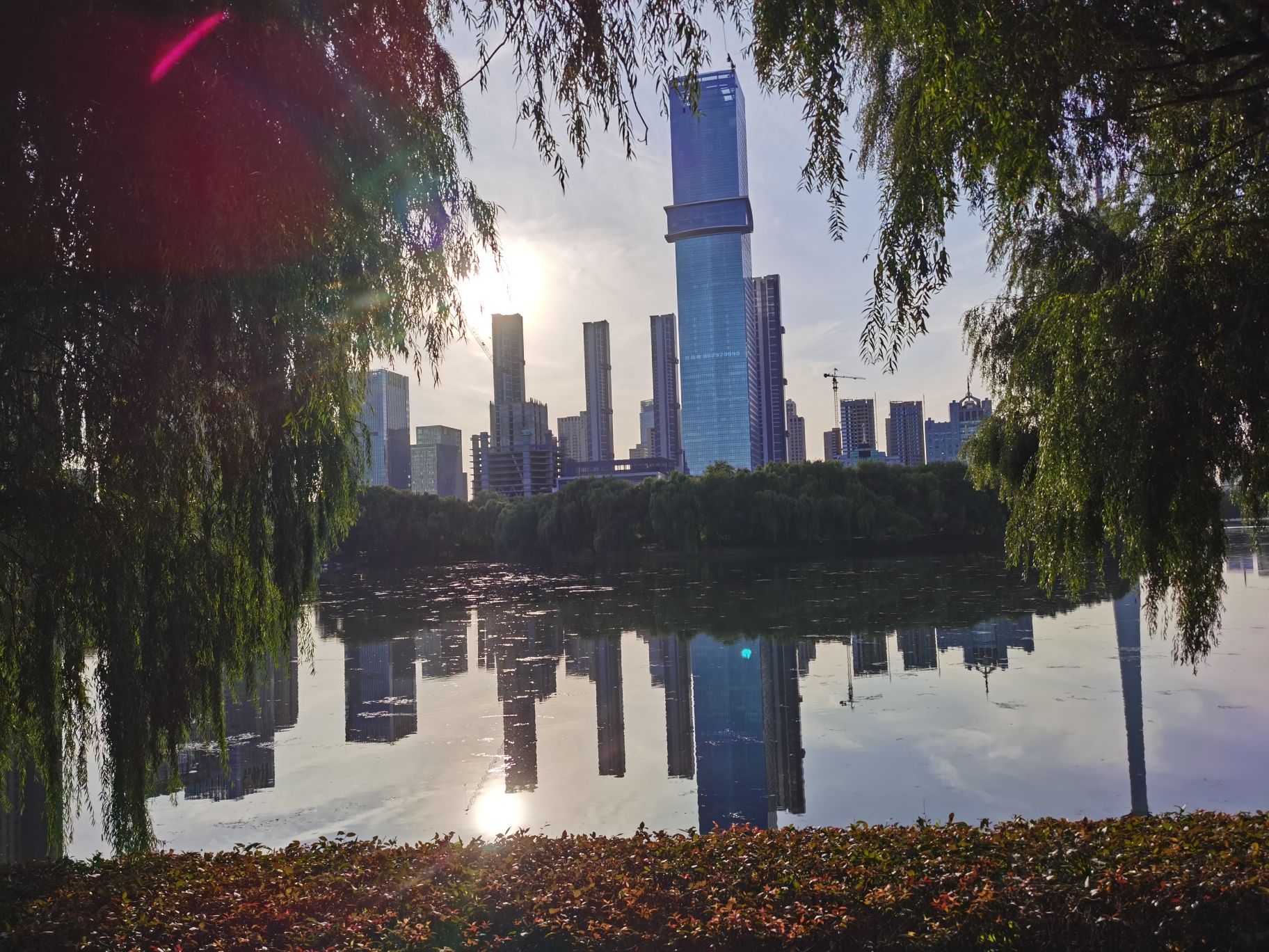 青年公园旅行图片 3