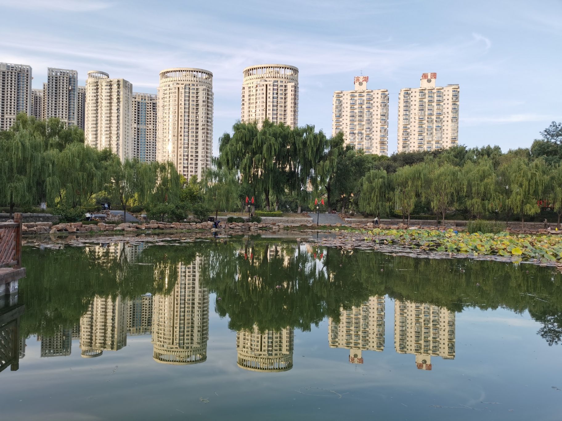 青年公园旅行图片 1