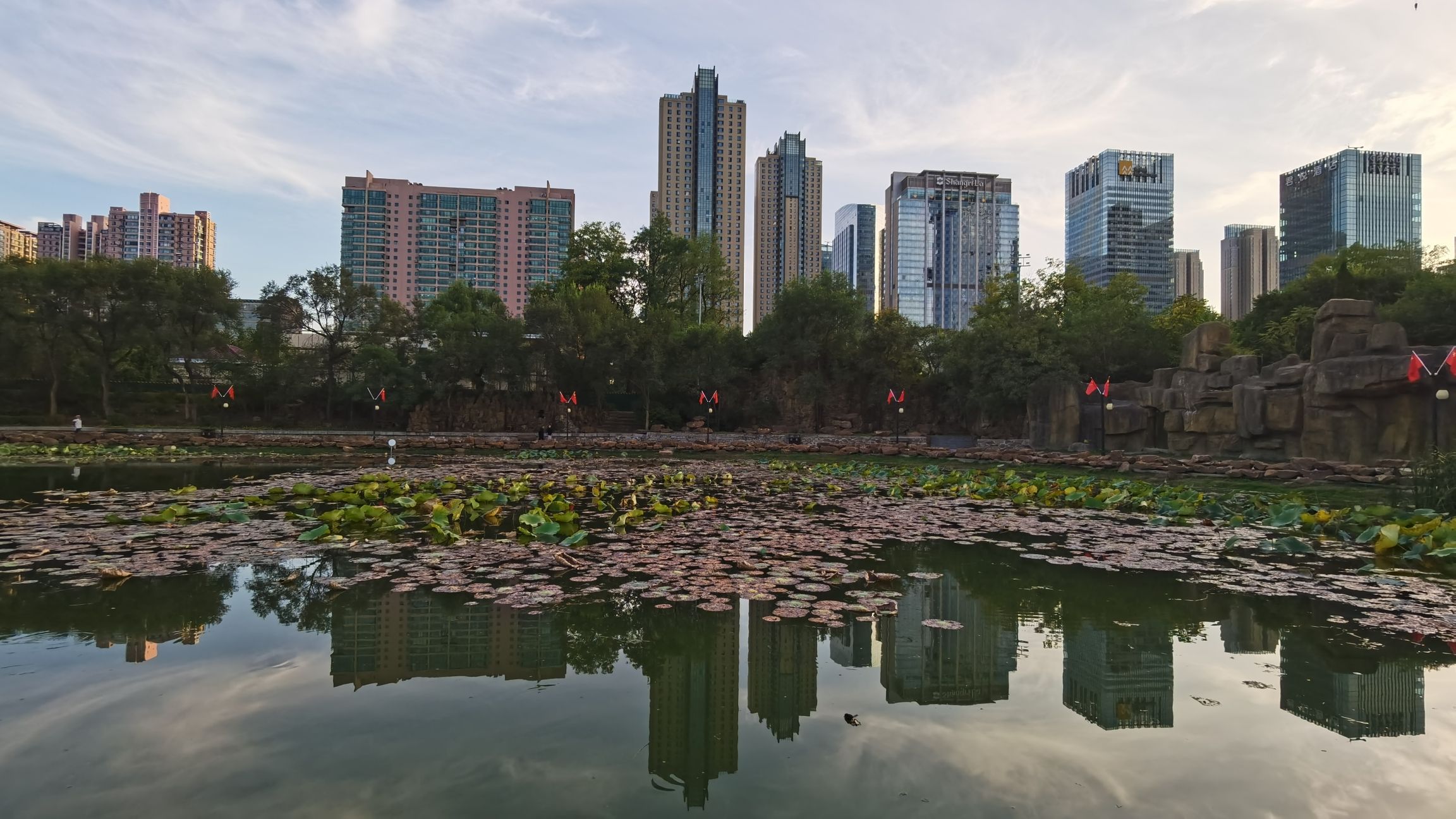 青年公园旅行图片 2