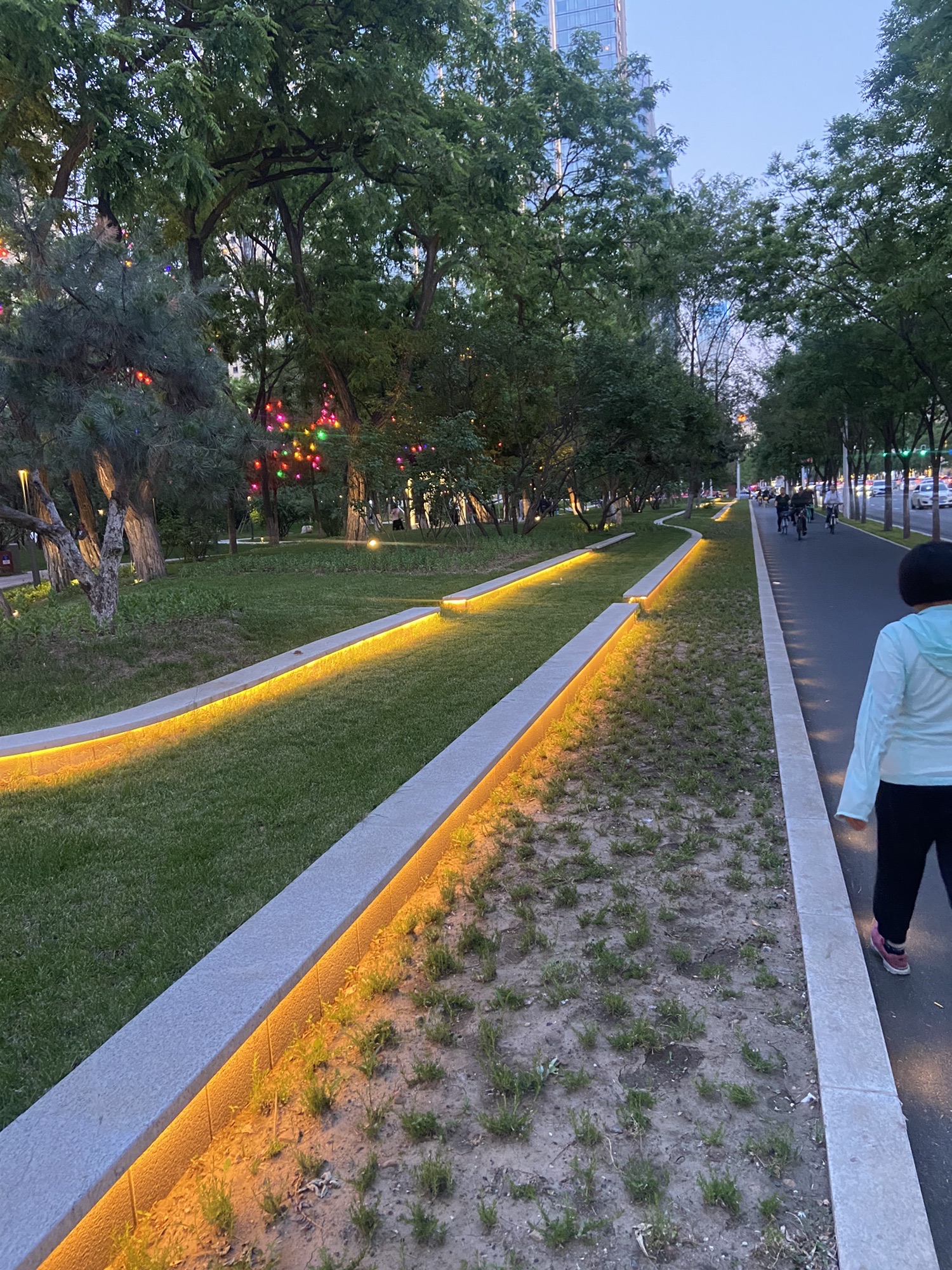 青年公园旅行图片 2